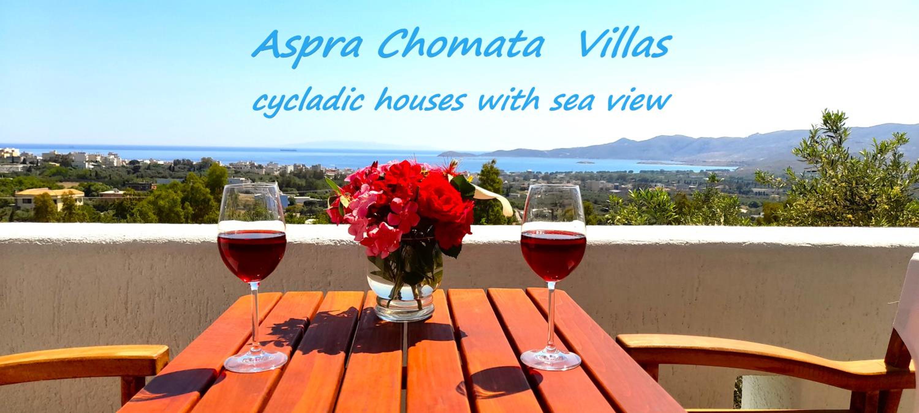 Villa with Sea View - Photo 44
