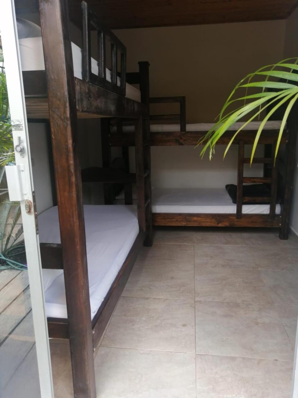 Bed in 6-Bed Mixed Dormitory Room photo 1
