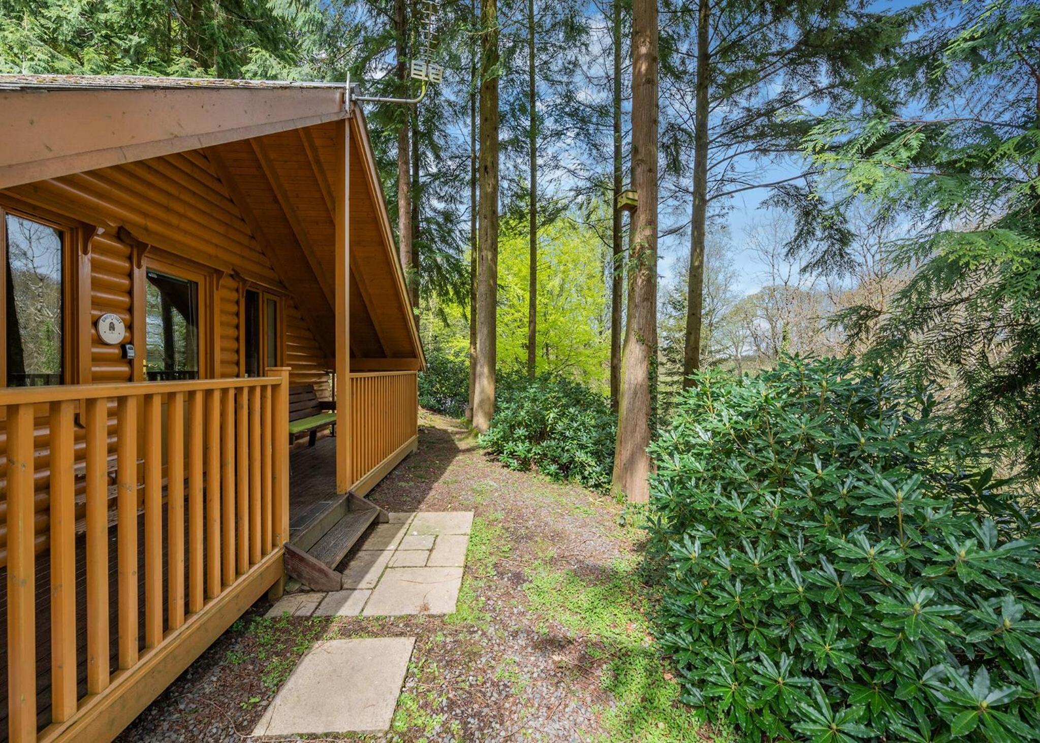 Three-Bedroom House photo 2