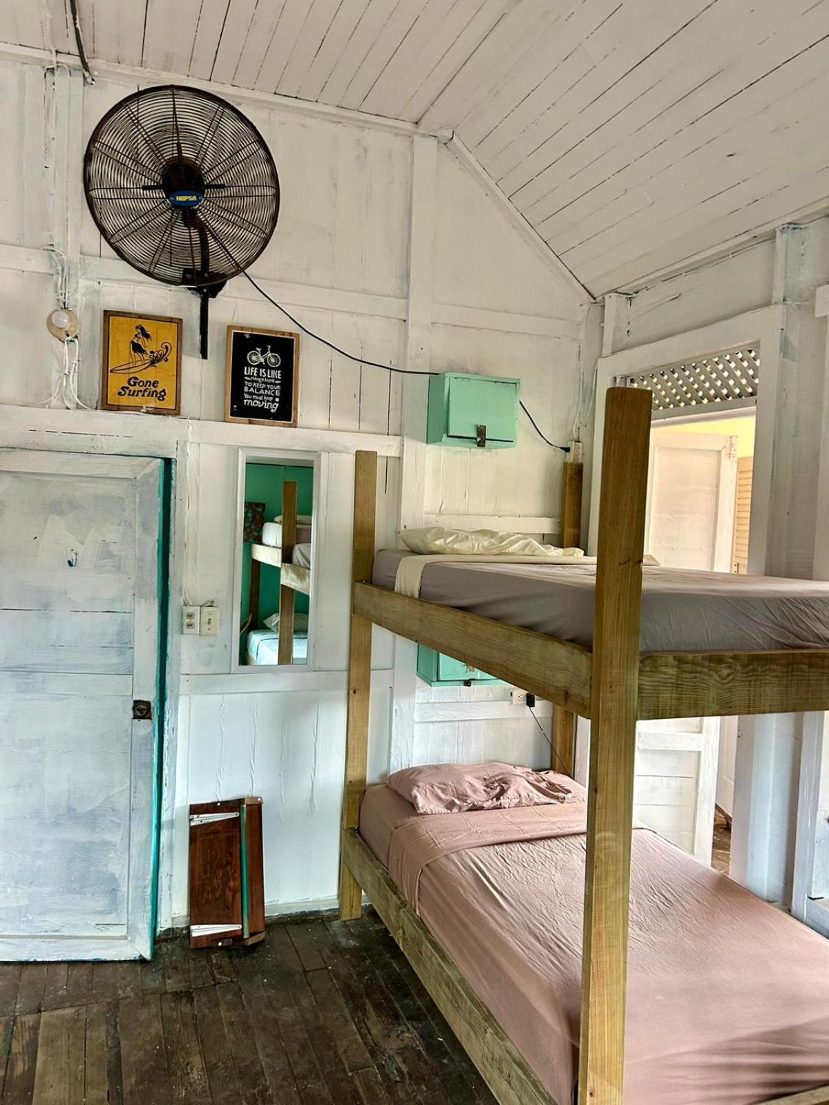 Single Bed in Dormitory Room photo 2