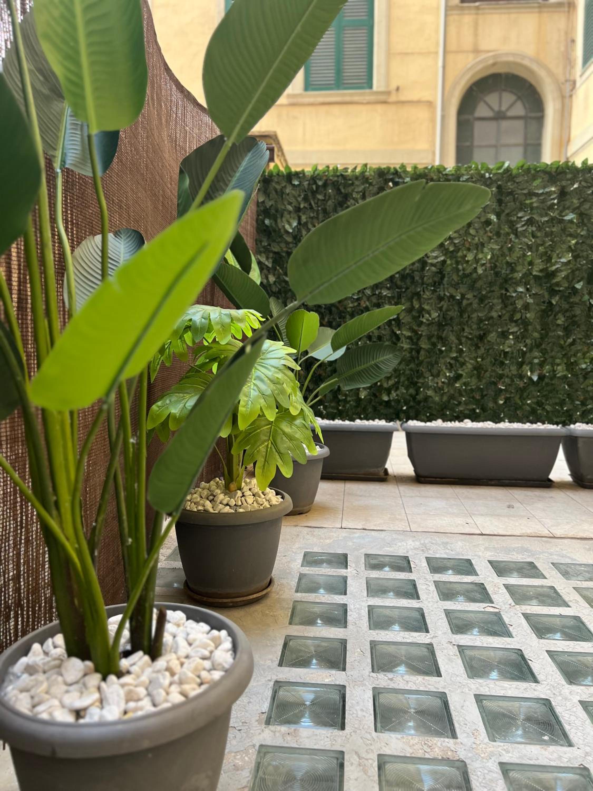 Double Room with Terrace photo 3