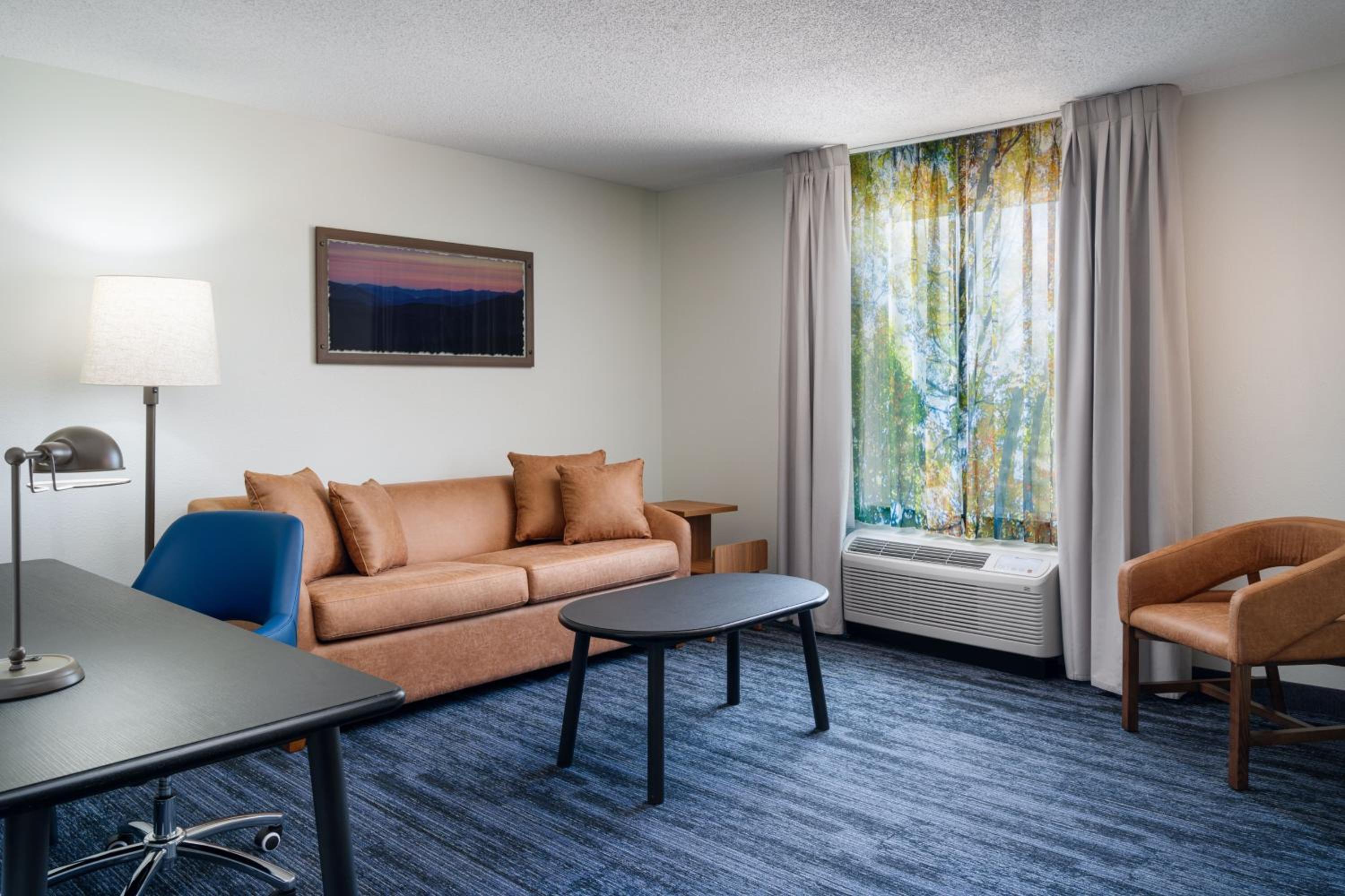 One-Bedroom King Suite with Bathtub and Sofa Bed - Mobility Access/Hearing Accessible