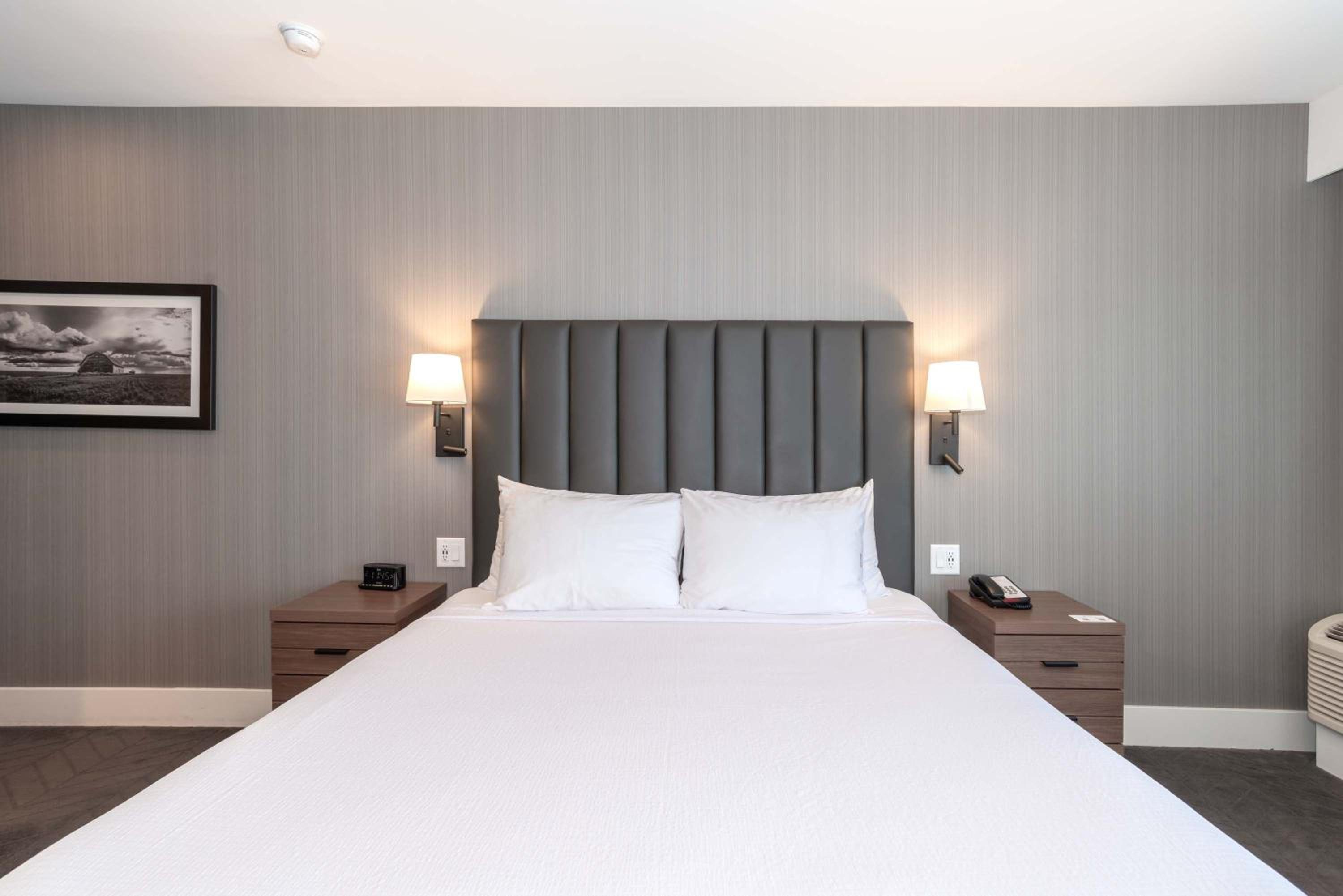Standard Room, 1 King Bed - Photo 2