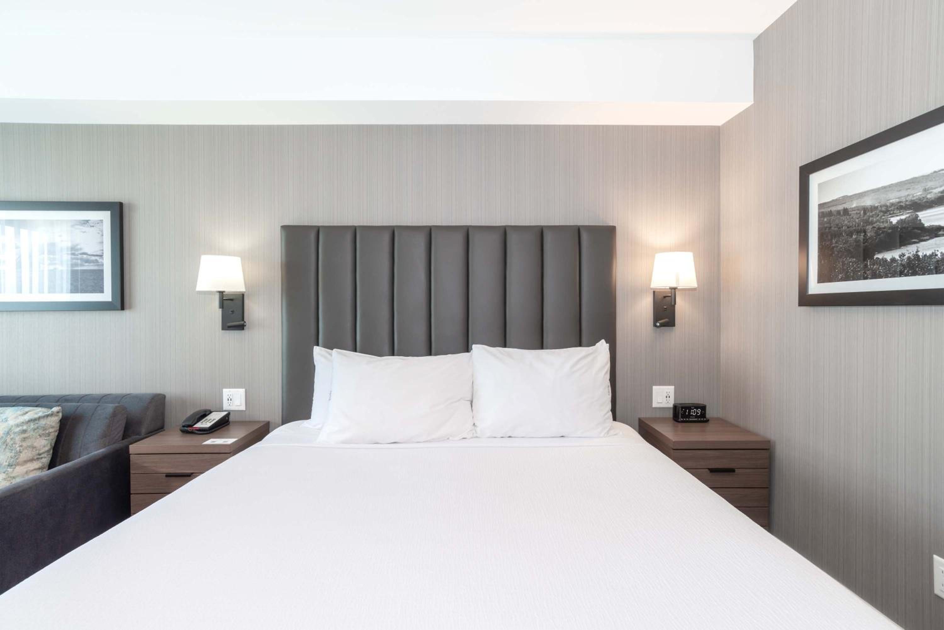 Standard Room, 1 King Bed, Sofa Bed - Photo 2