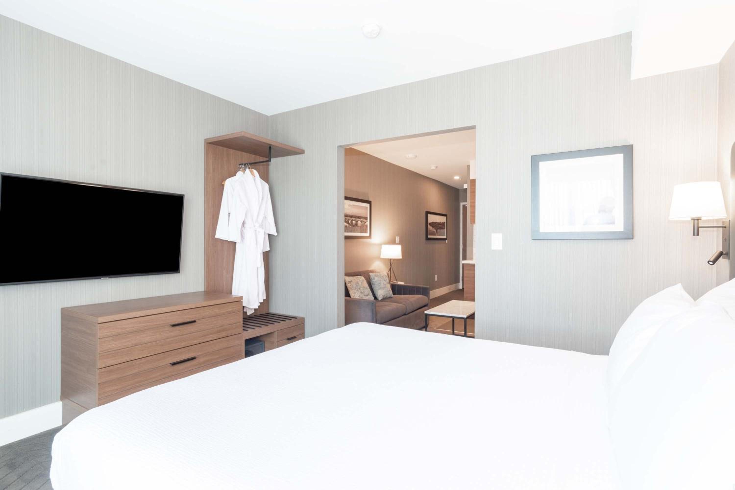Standard Suite, 1 Queen Bed, Sofa Bed, Kitchenette - Photo 5