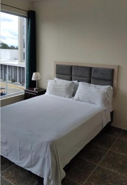 Double Or Twin Room photo 1