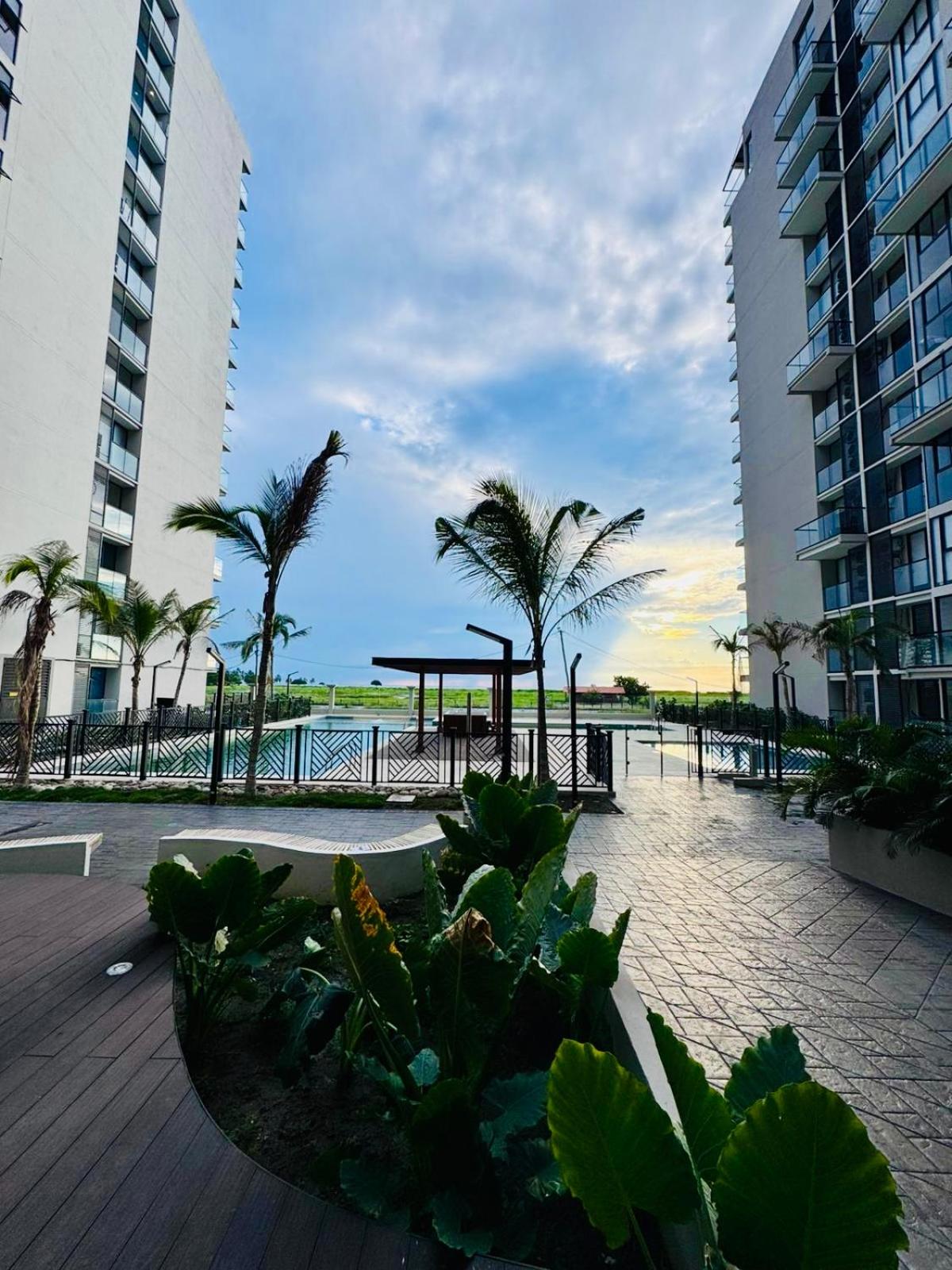 One-Bedroom Apartment with Sea View and Balcony photo 1