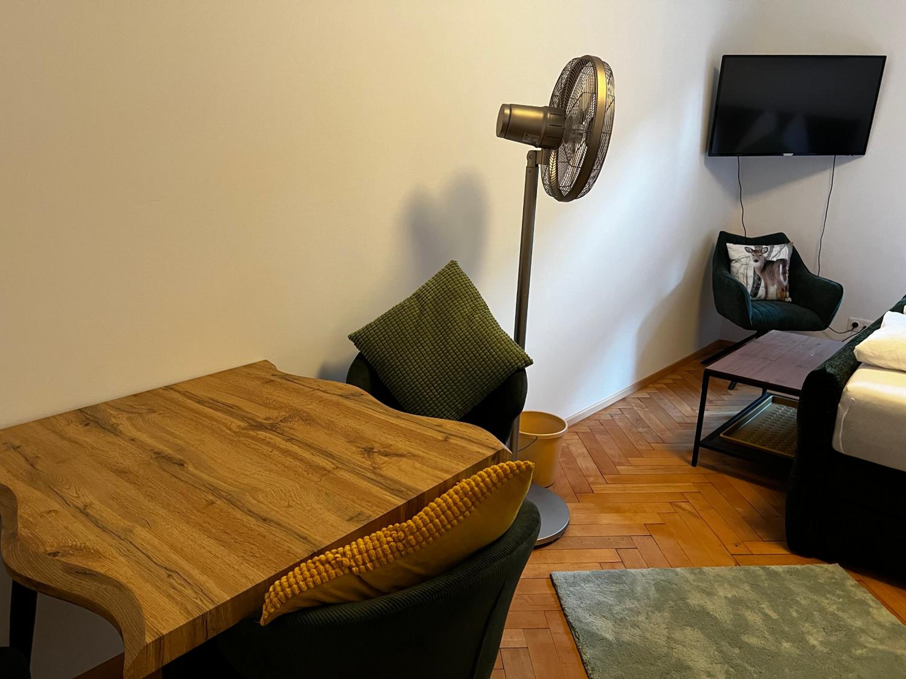 Studio with Balcony photo 3