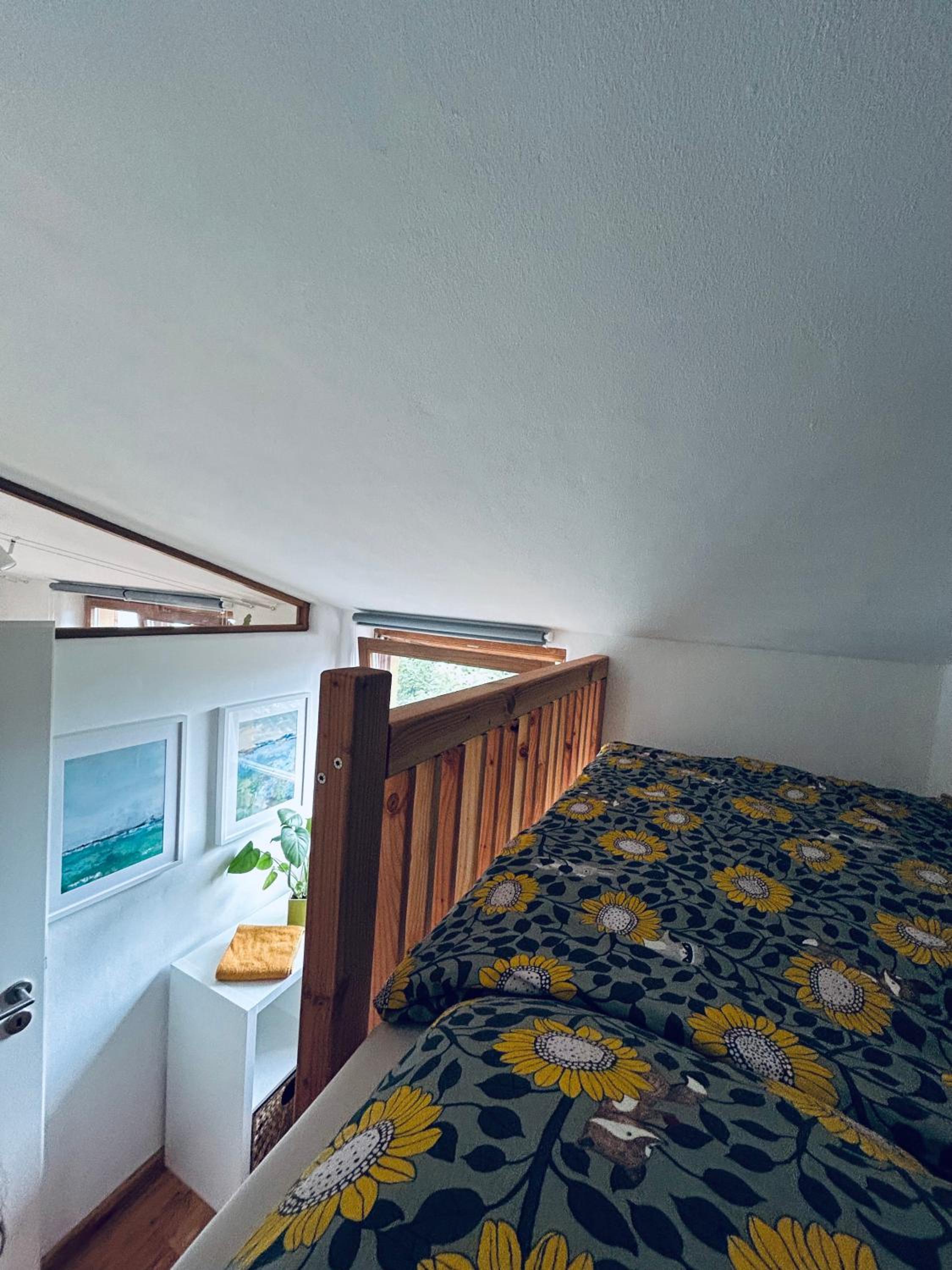 Apartment with Terrace photo 2