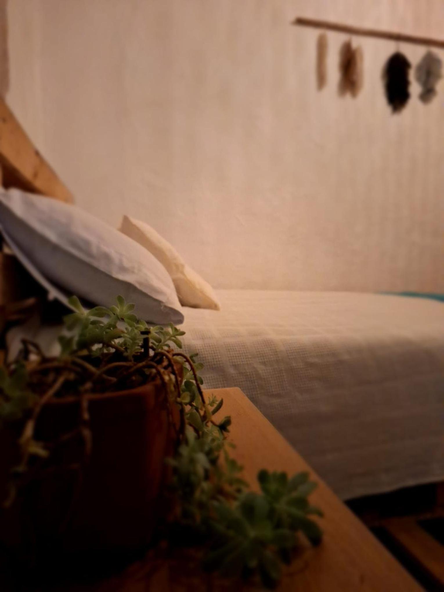 Double Room With Park View photo 2