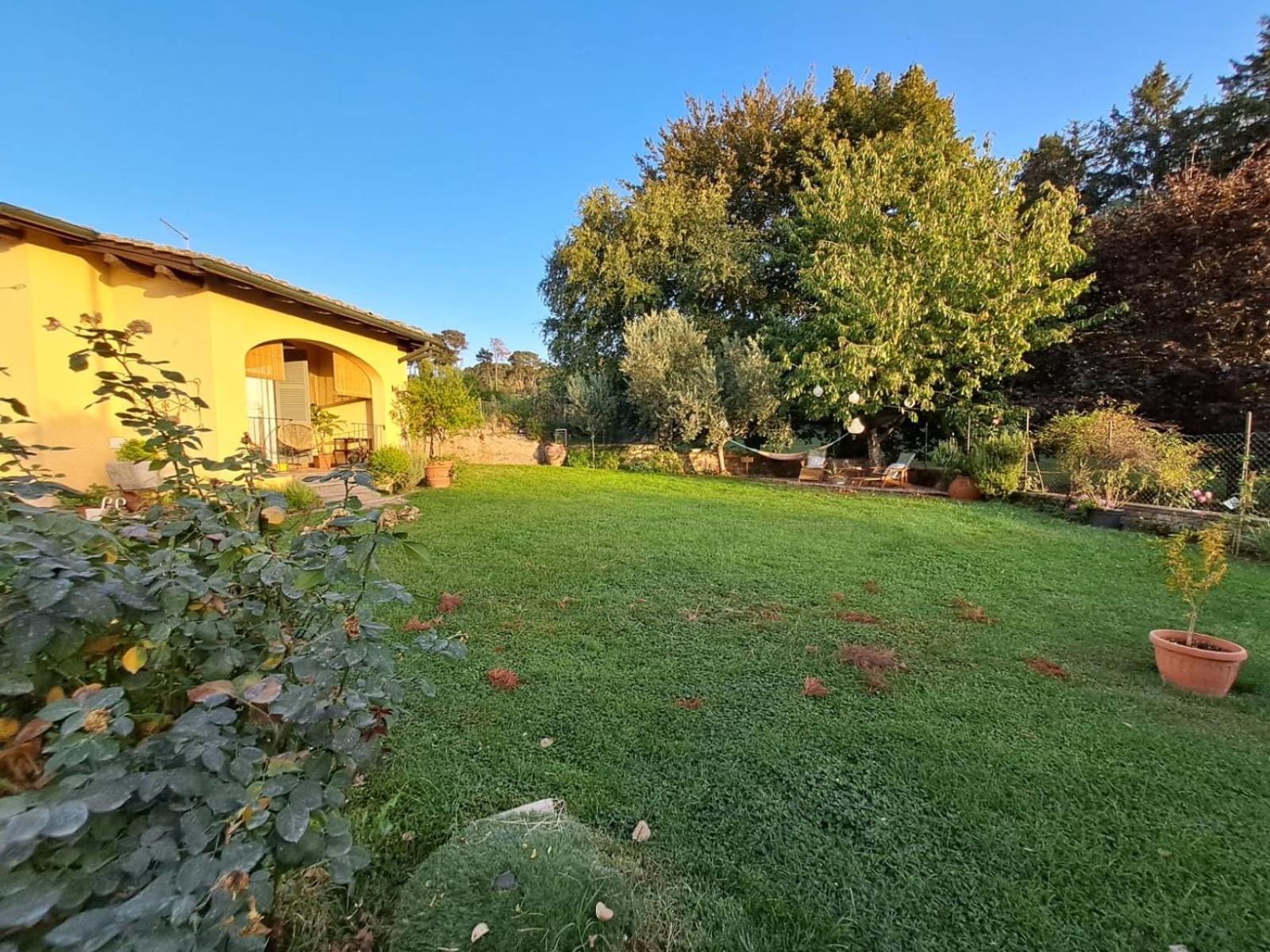 One-Bedroom House photo 2