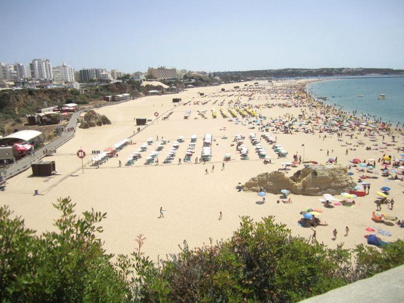 Superior Large One-Bedroom Apartment with Sea View - Photo 4