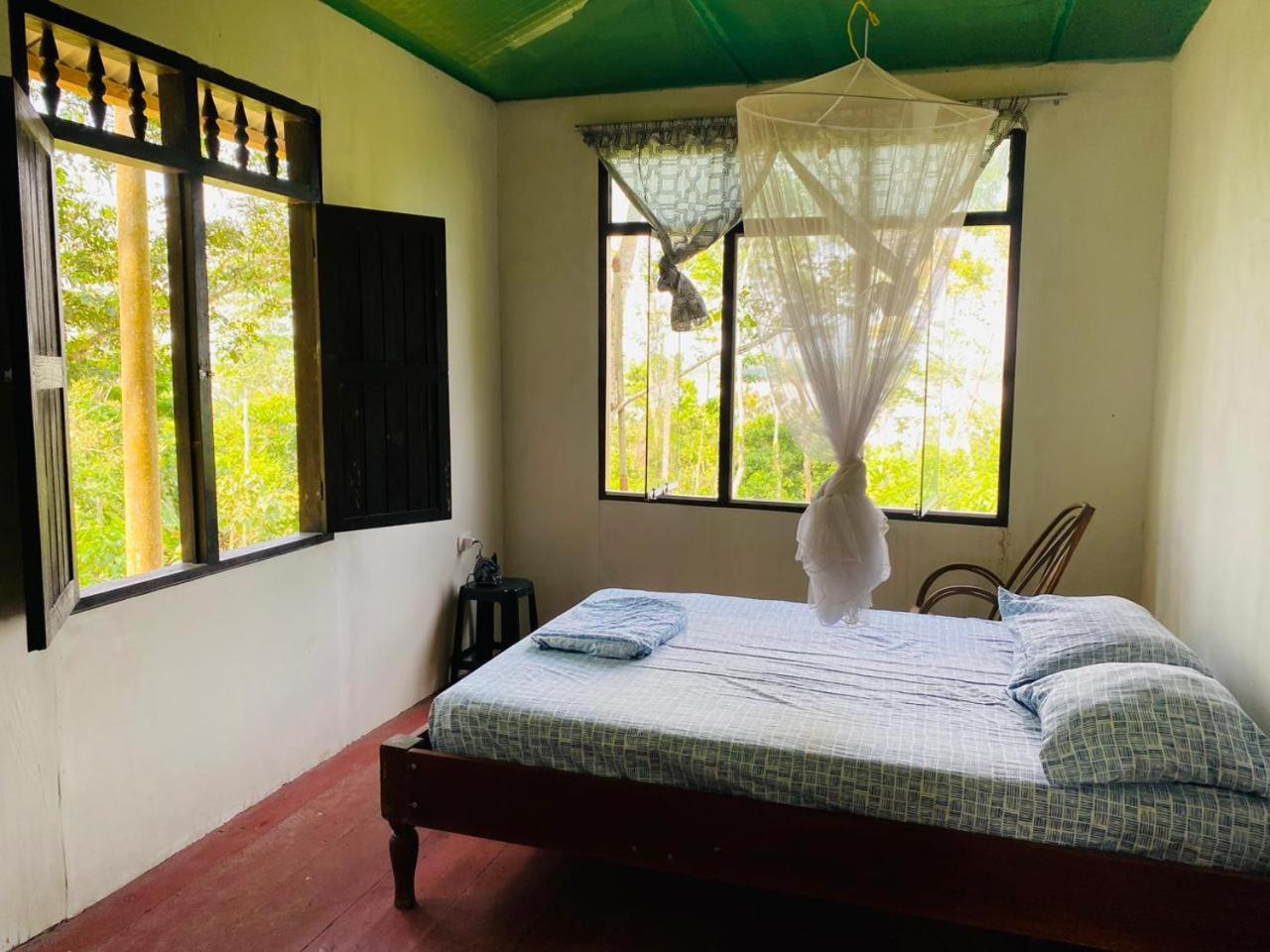 Double Room With Garden View photo 2