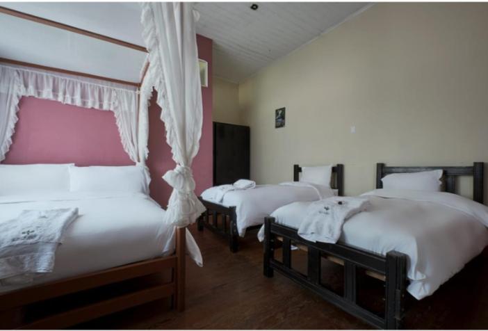 Basic Triple Room with Shared Bathroom photo 3