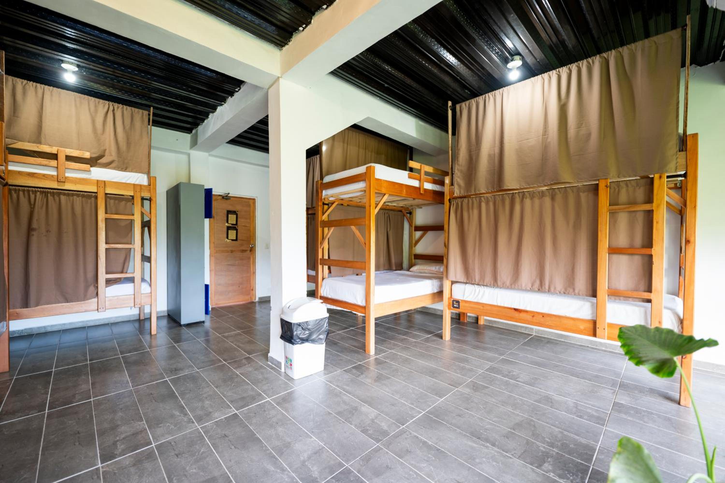 Single Bed in Mixed Dormitory Room photo 1
