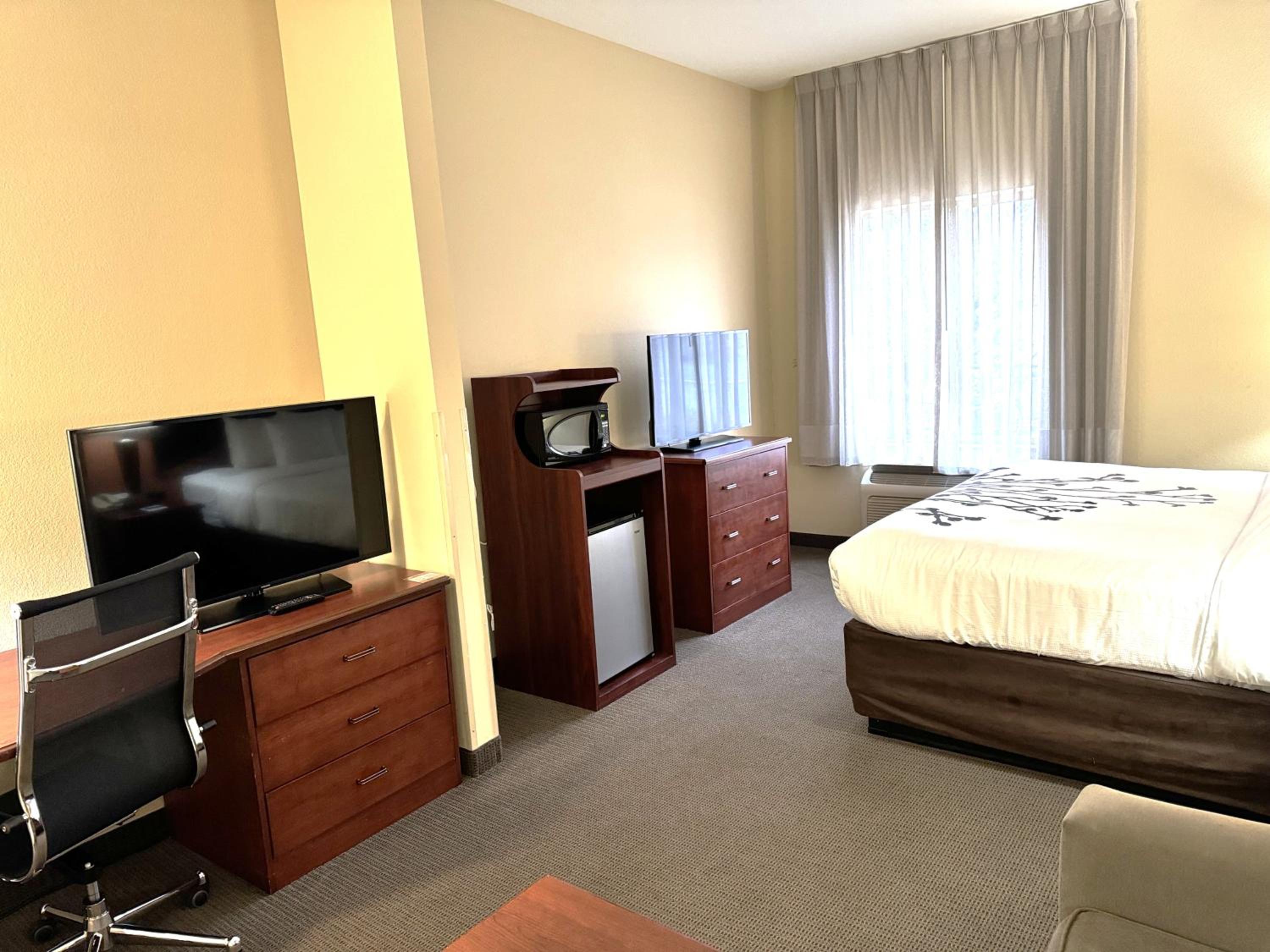 Suite - Photo 4