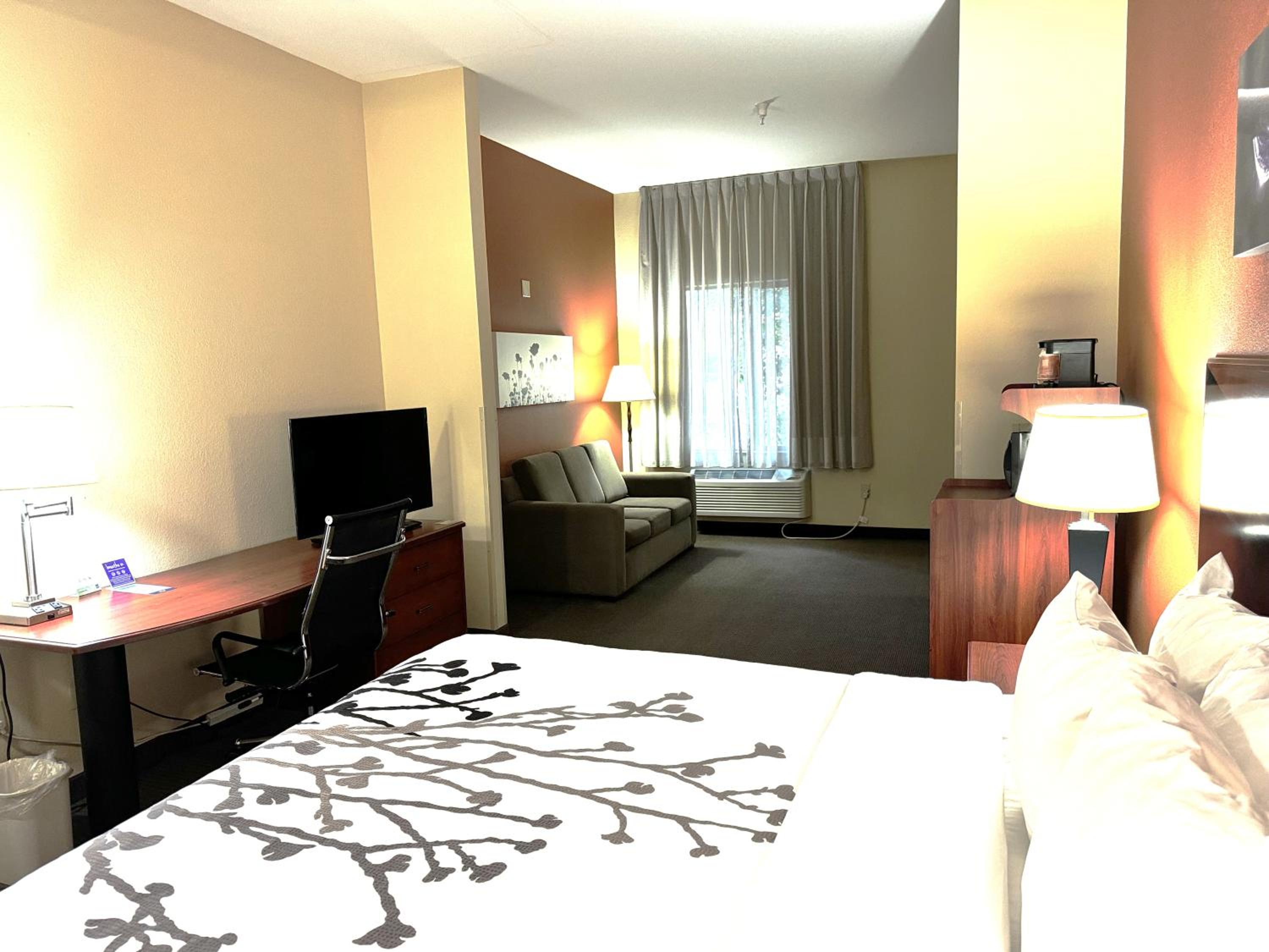 King Suite - Accessible/Non-Smoking - Photo 2