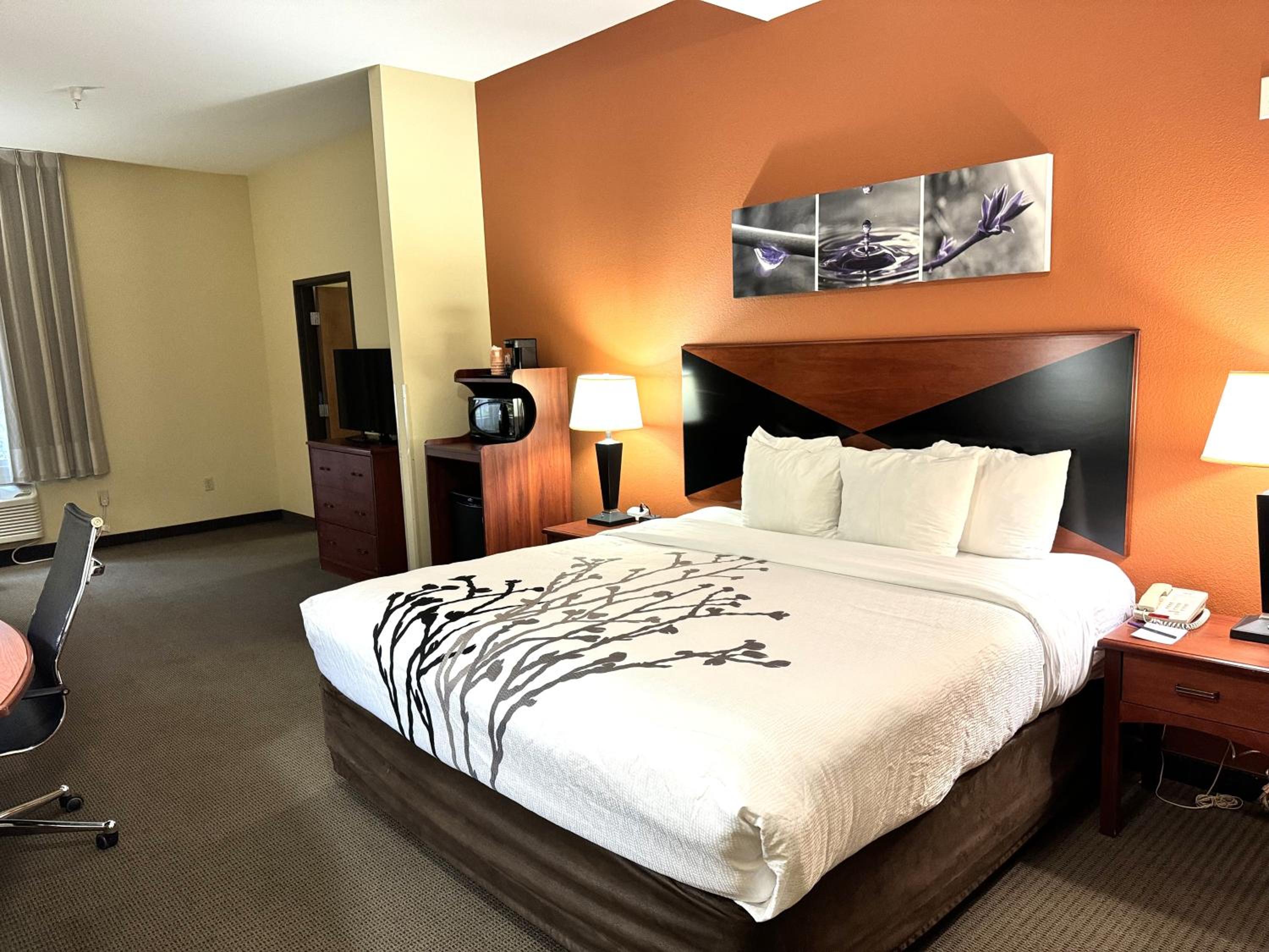 King Suite - Accessible/Non-Smoking - Photo 1