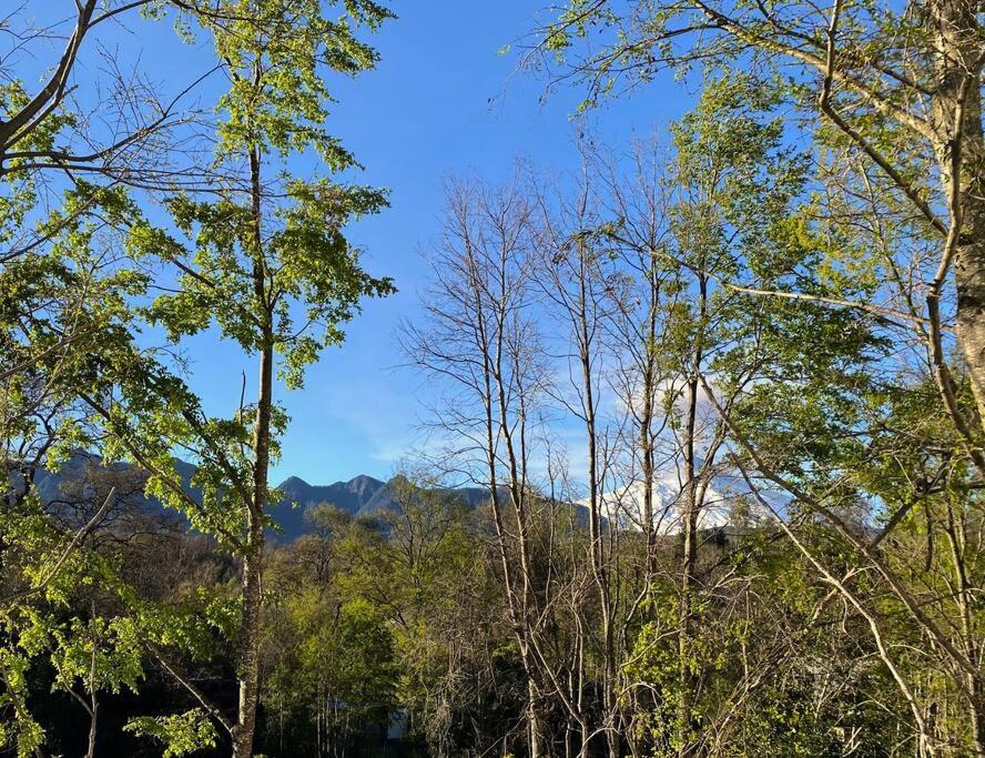 Three-Bedroom Apartment with Mountain View photo 3