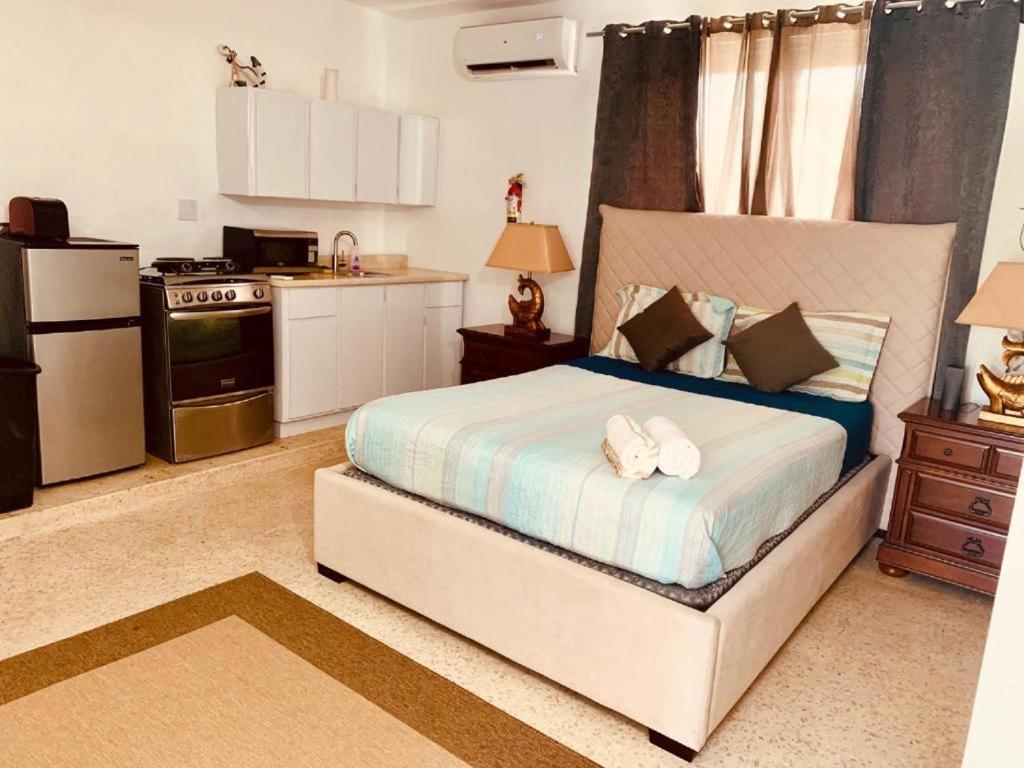One-Bedroom Apartment photo 2