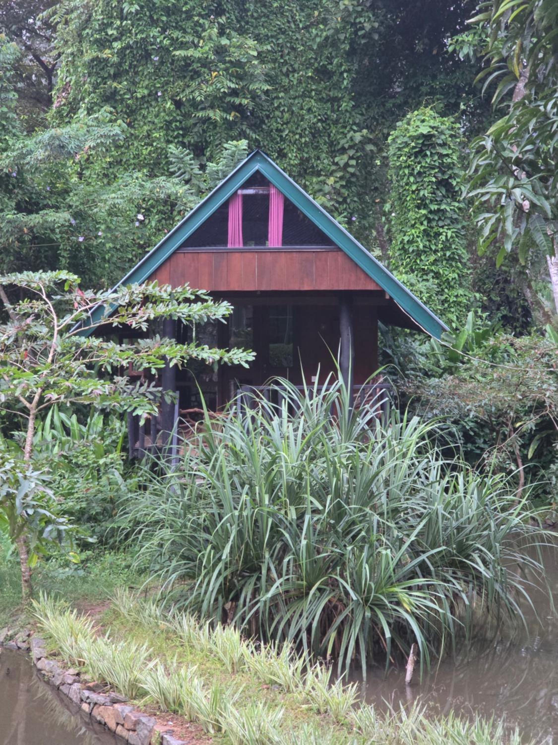 Quadruple Room with Lake View photo 3