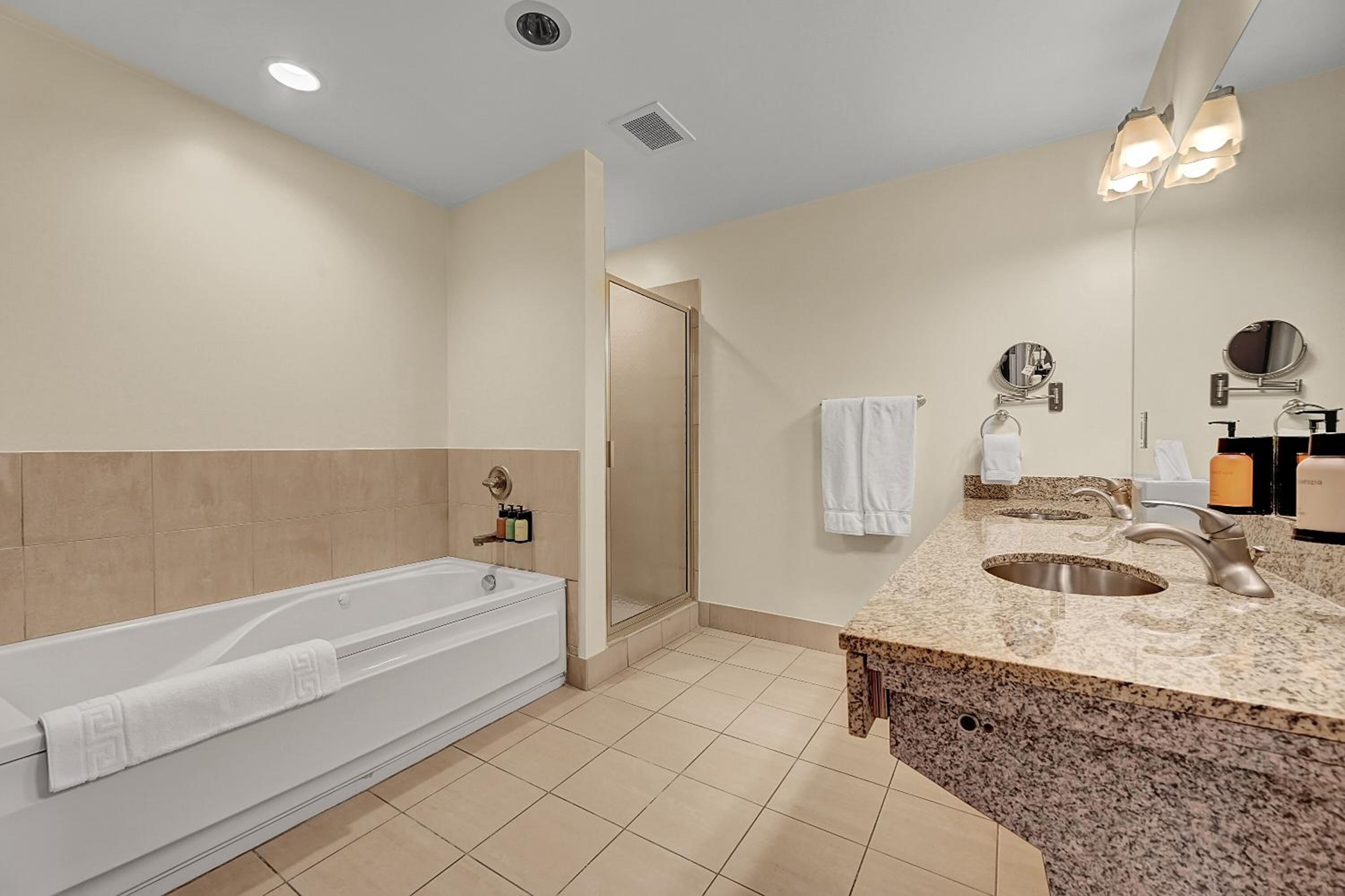 Deluxe Suite photo 3