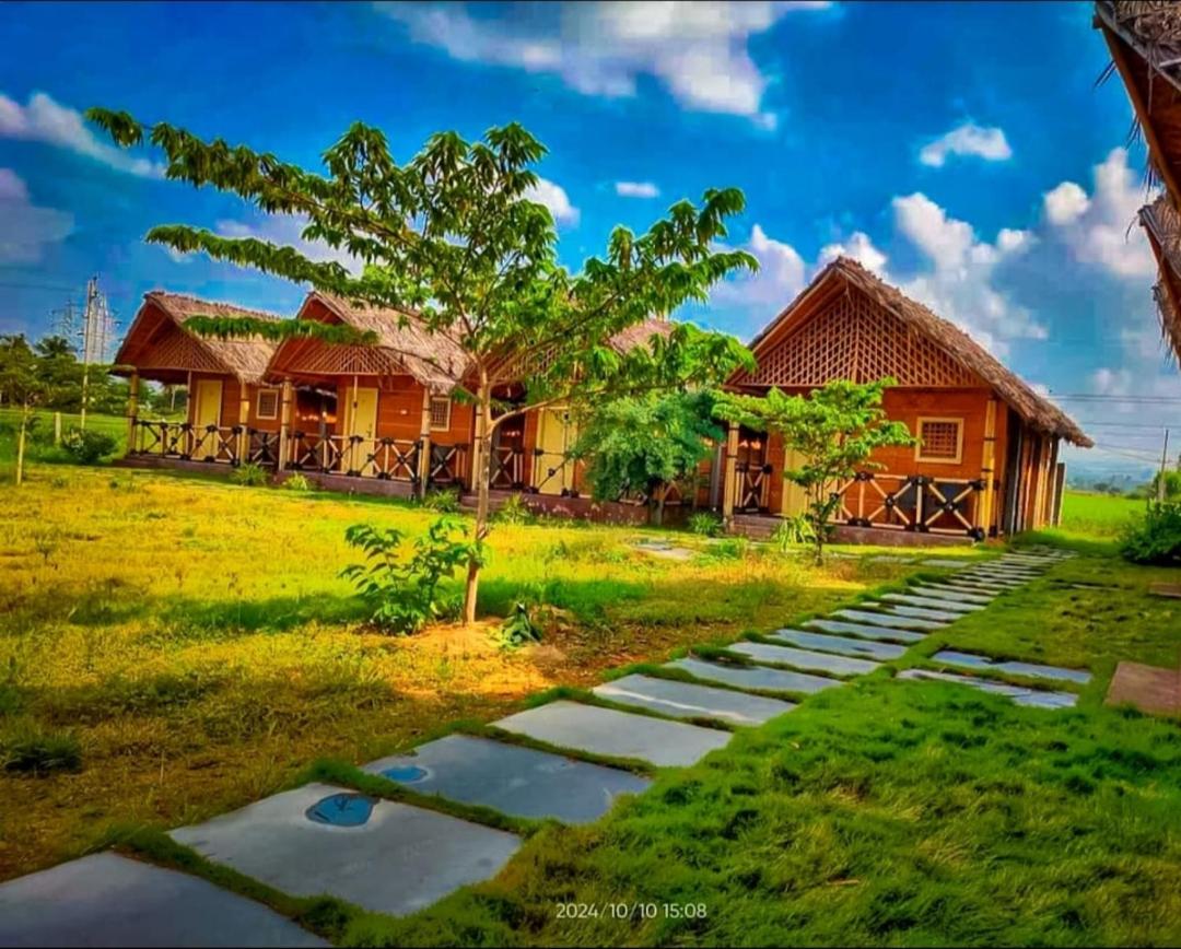 6-Bed Mixed Dormitory Room photo 2