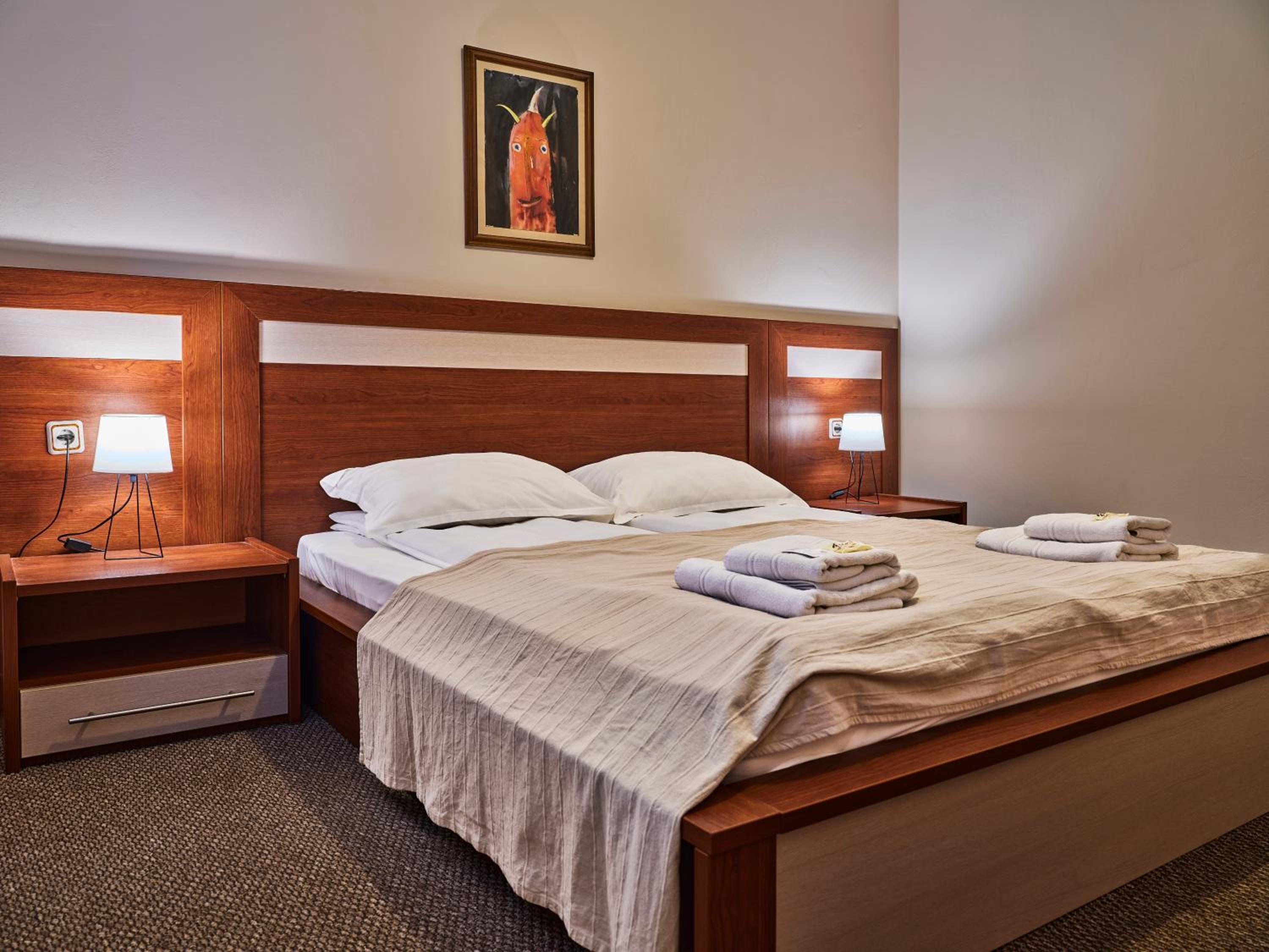 Double or Twin Room photo 2