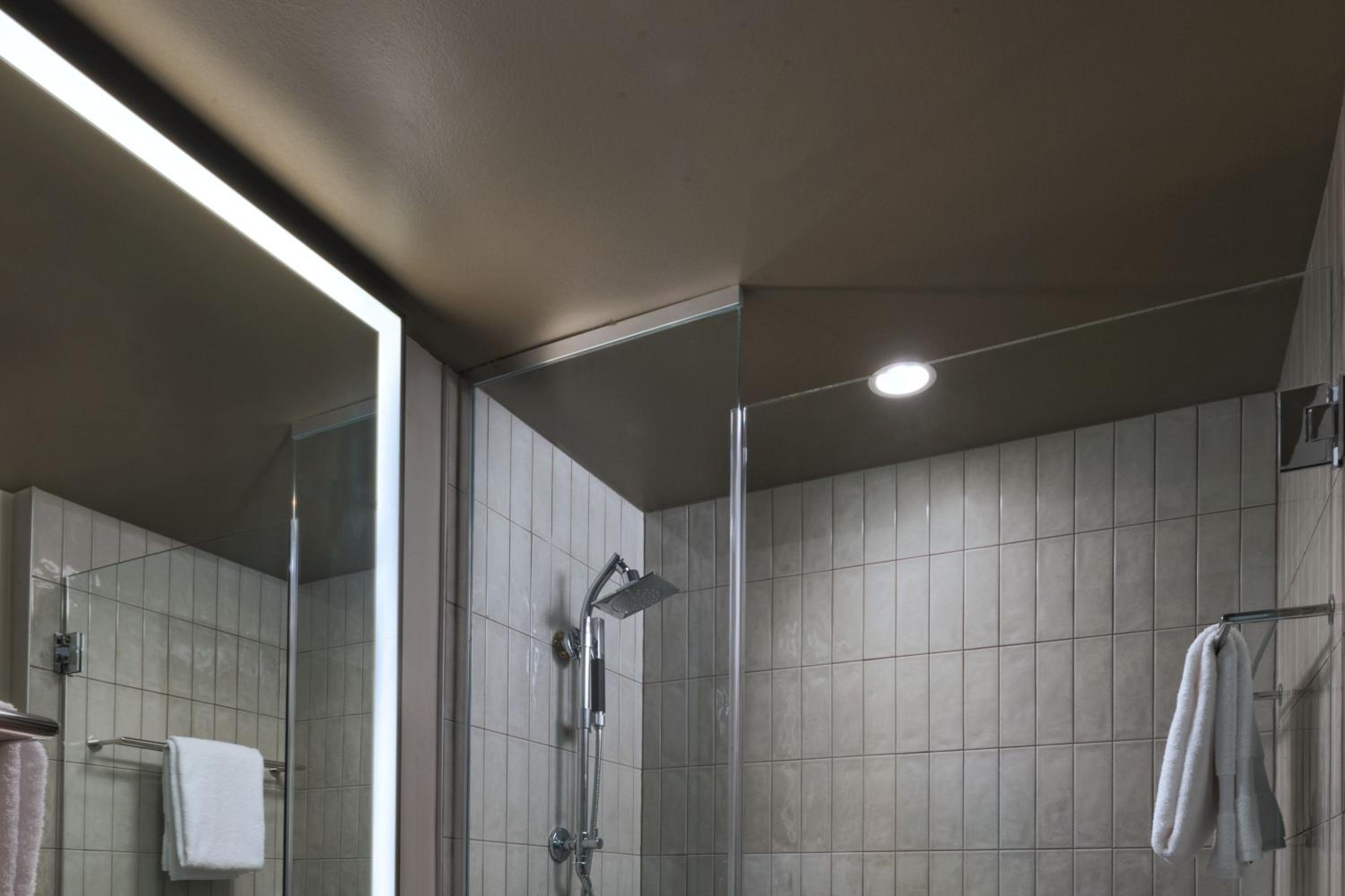 King Room with Roll-in Shower - Mobility Accessible
