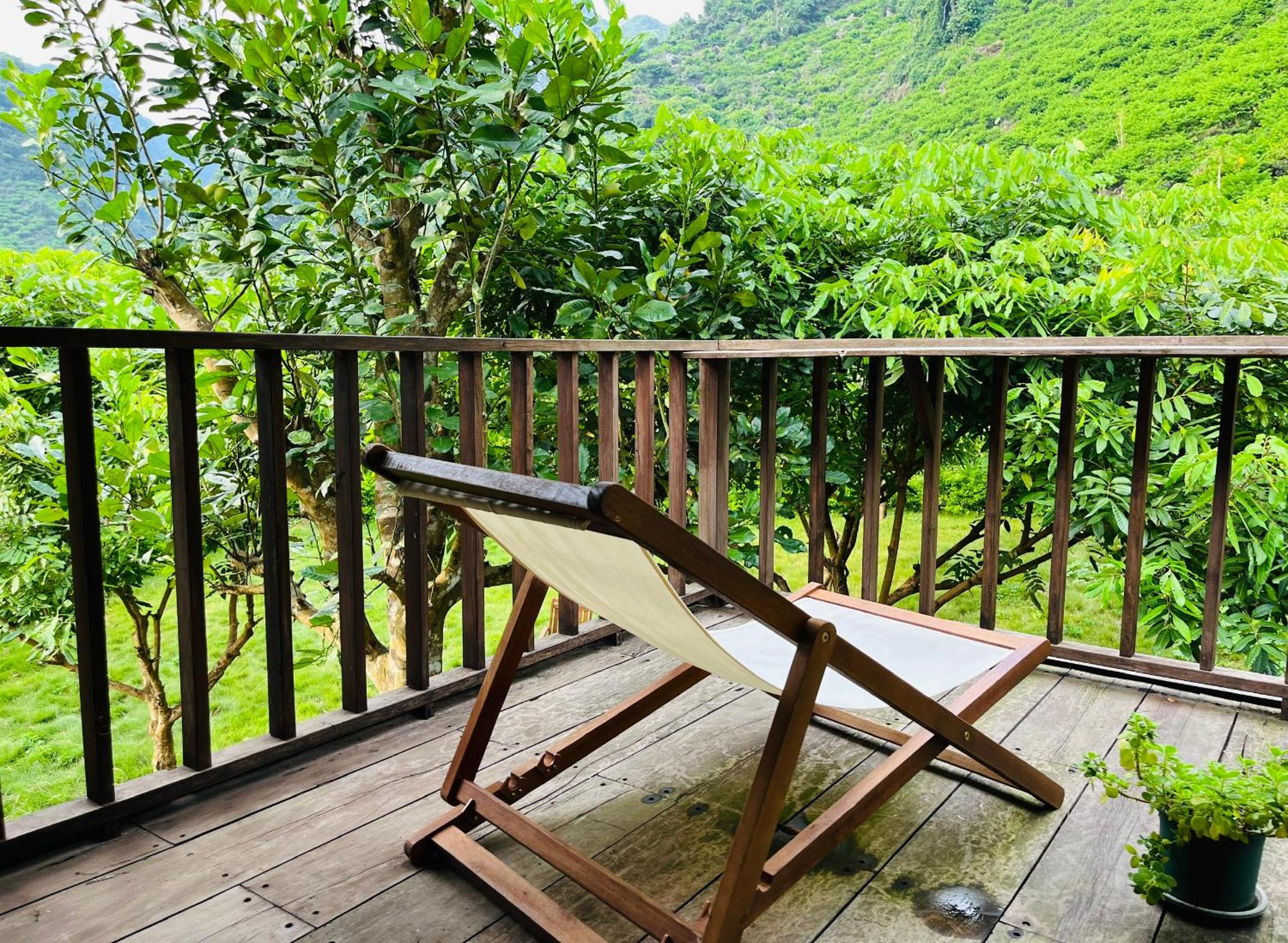 King Room with Mountain View photo 3