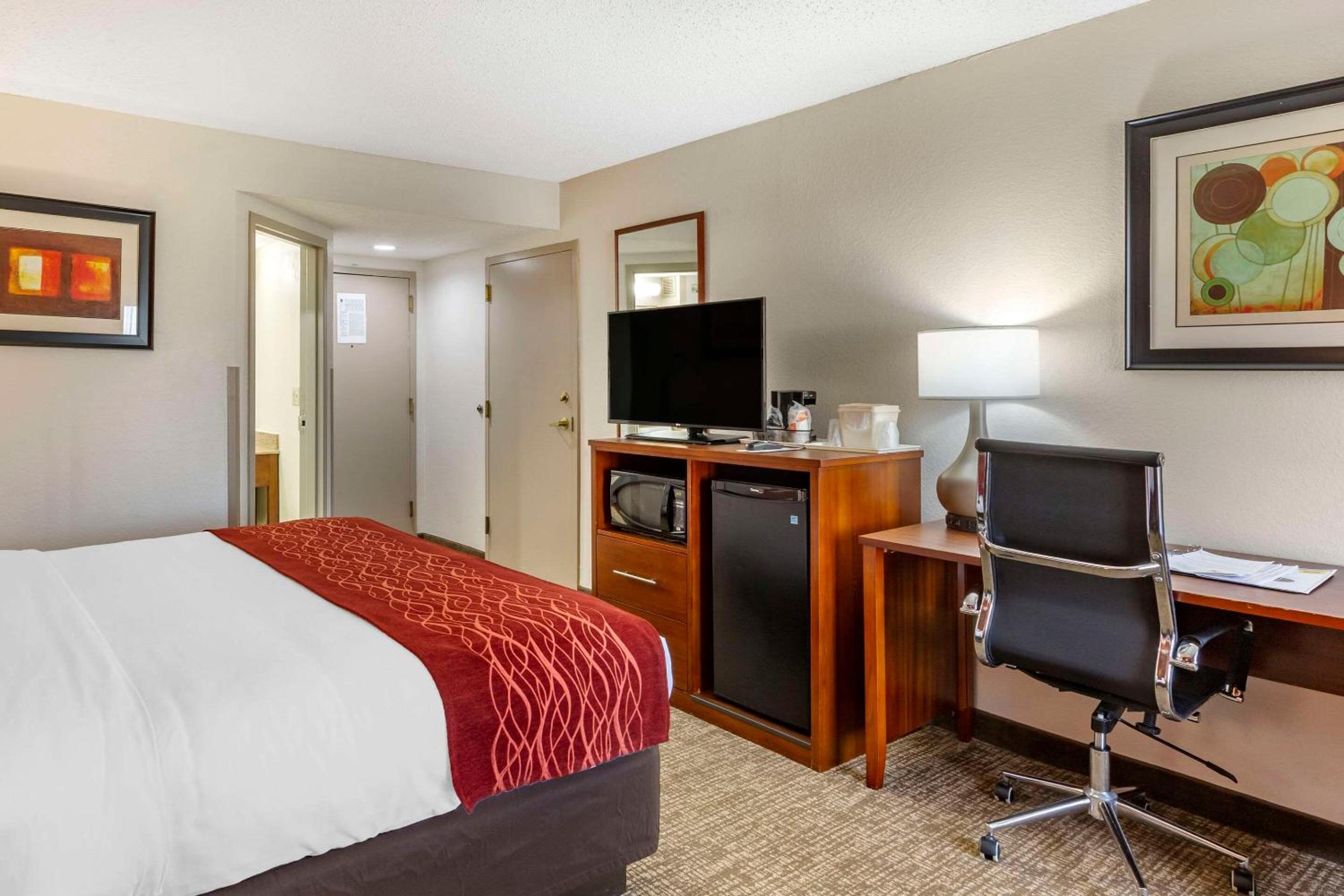 King Room - Non-Smoking - Photo 6