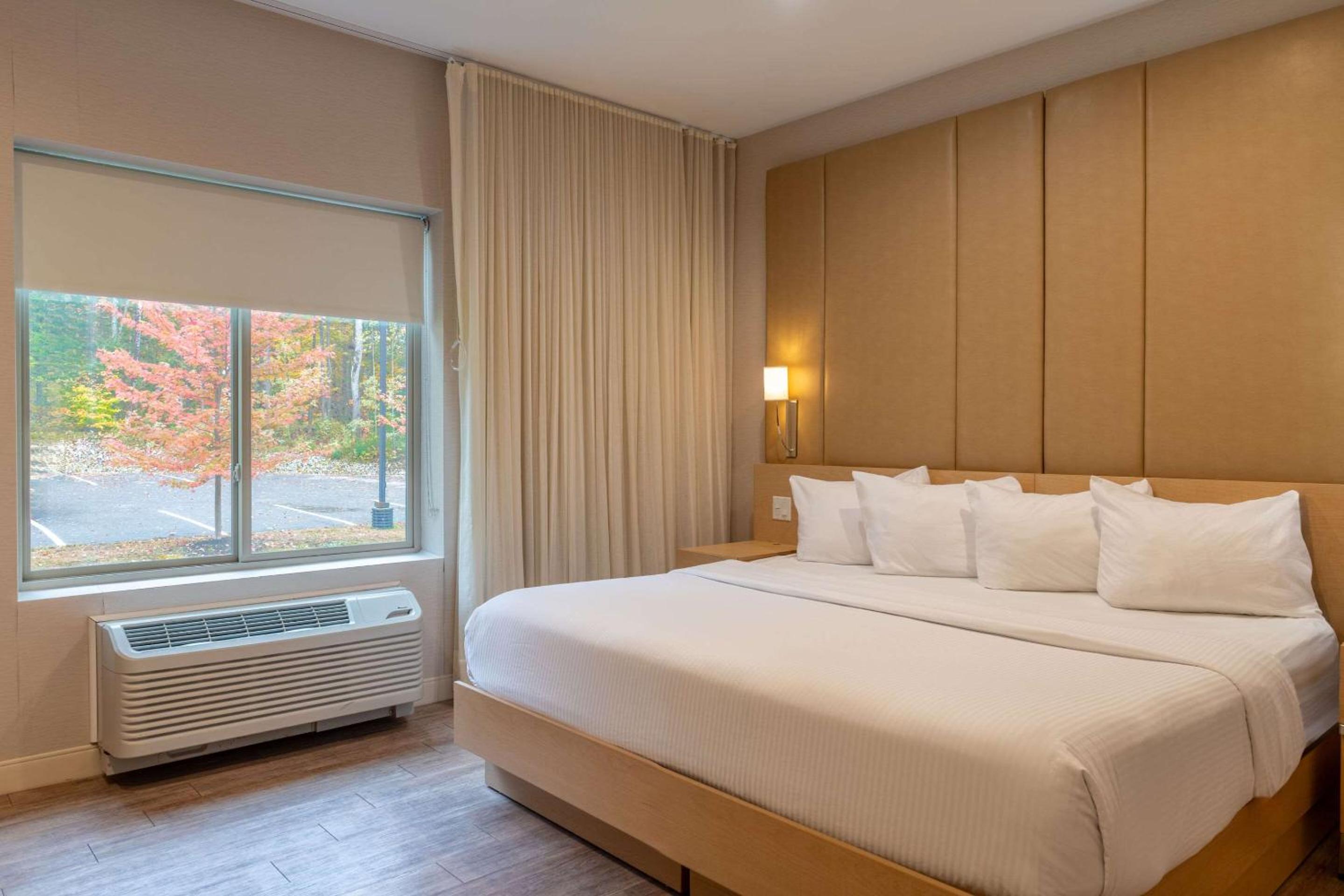 King Room with Sofa Bed - Non-Smoking photo 3