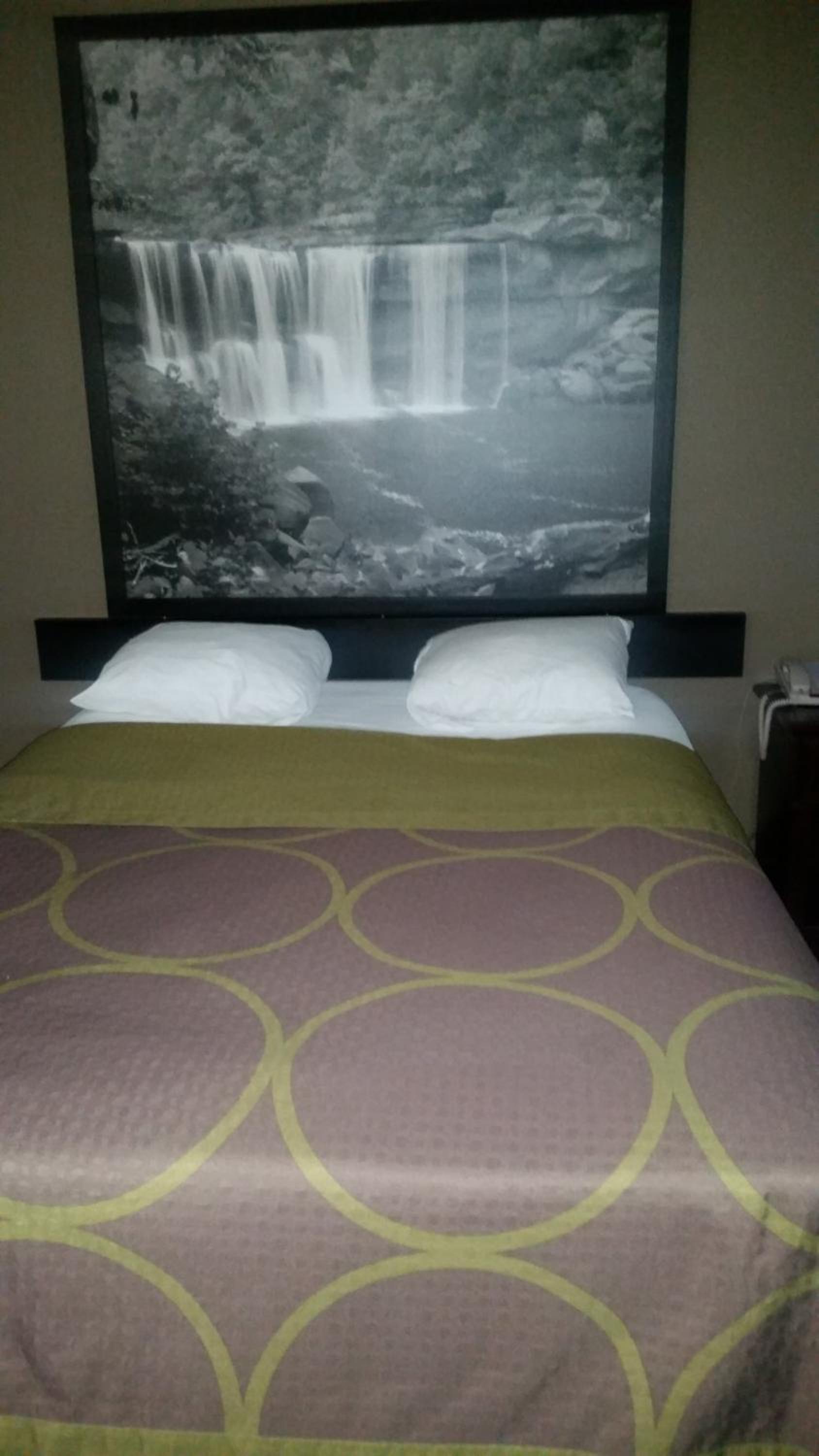 Queen Room - Mobility Access/Non-Smoking - Photo 3