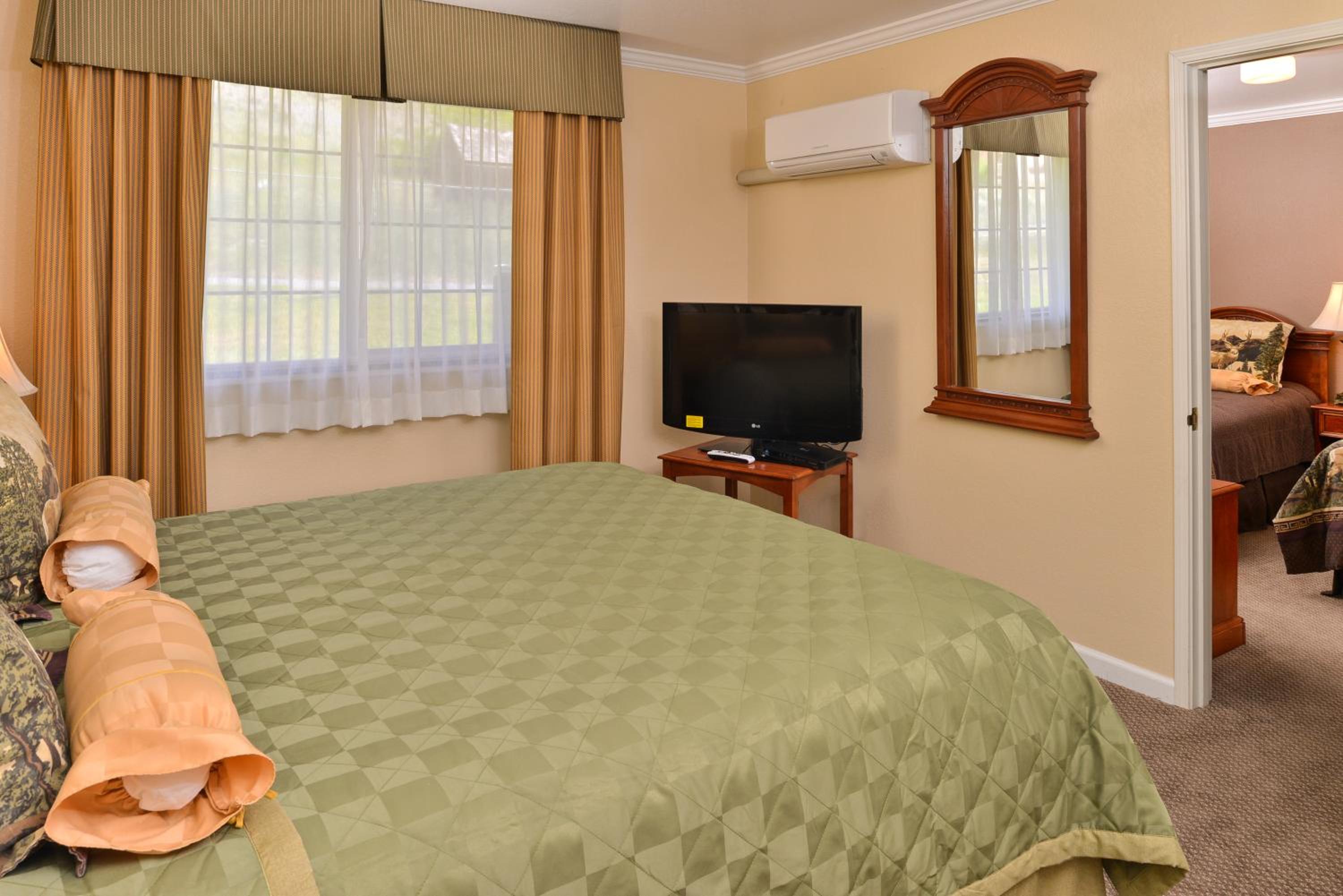 Deluxe Suite photo 1