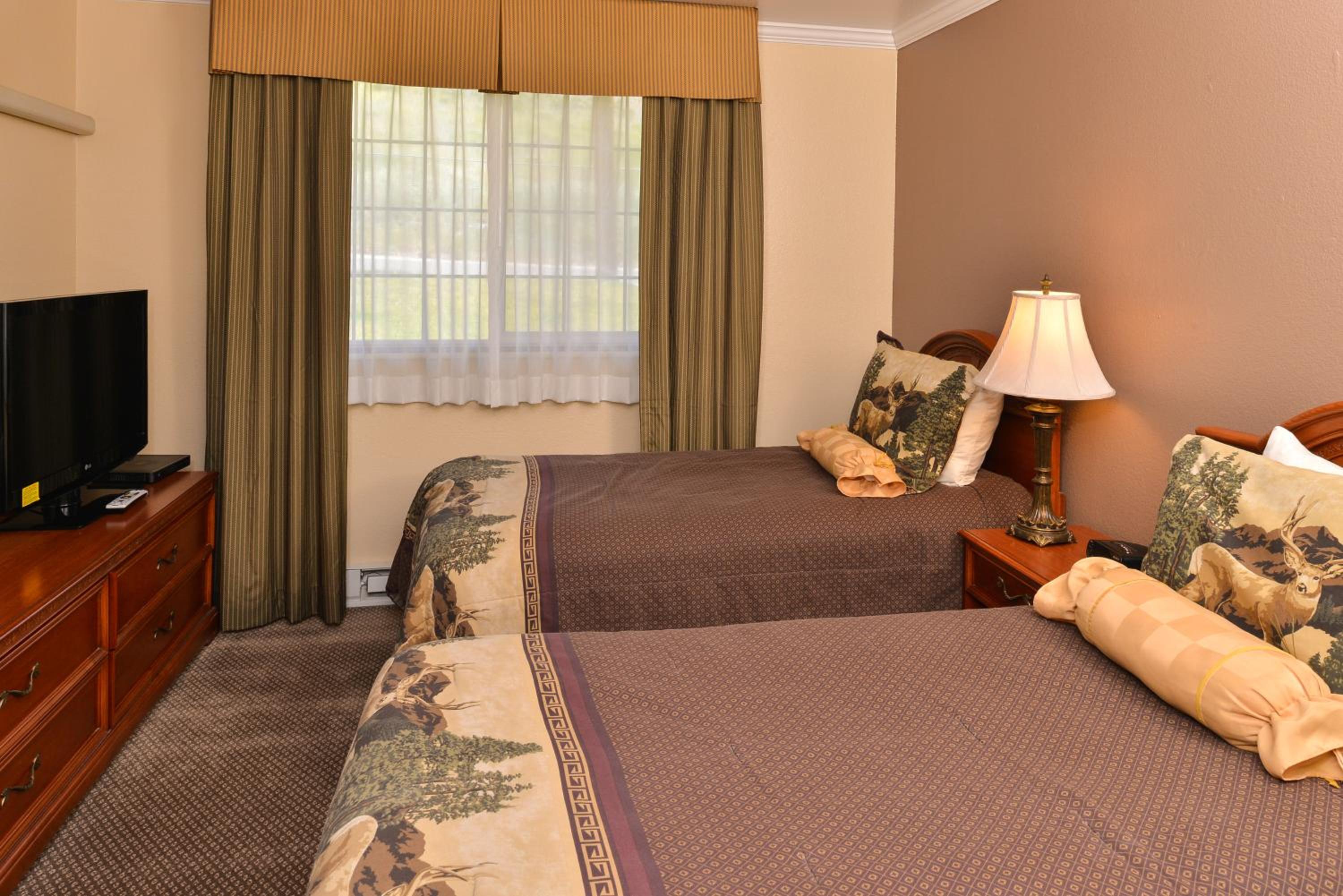 Deluxe Suite photo 2