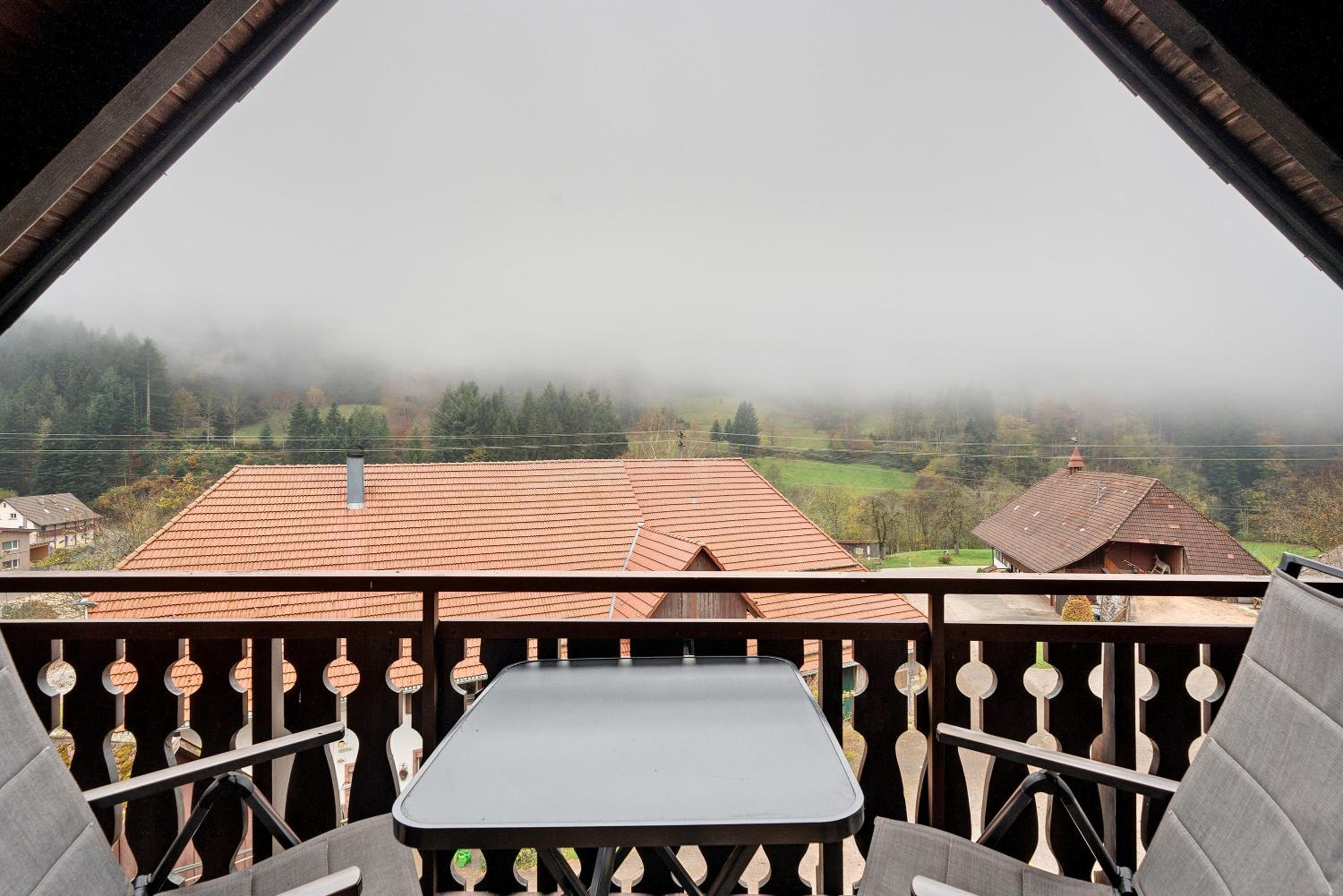 Superior One-Bedroom Apartment with Balcony photo 3