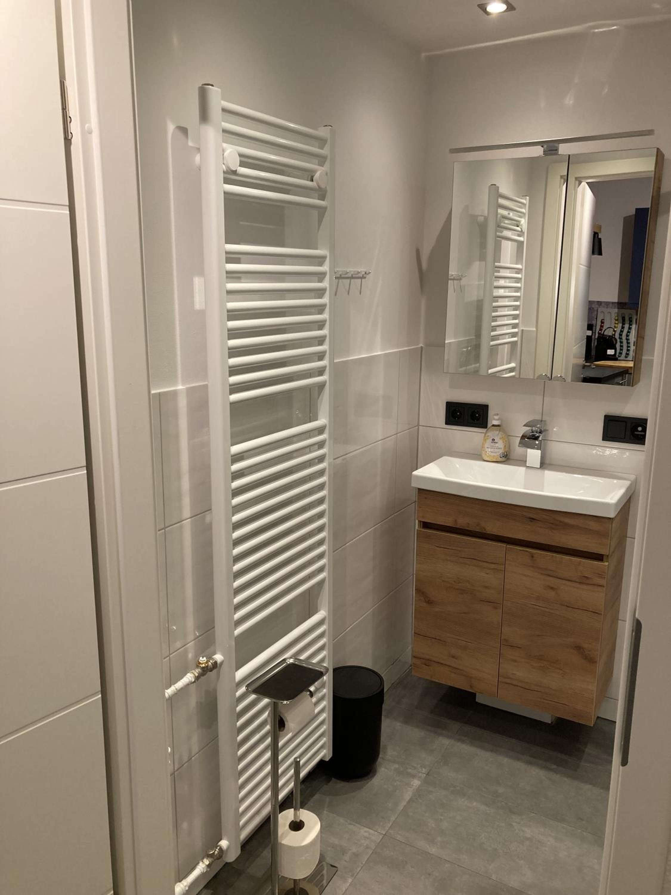 Superior One-Bedroom Apartment with Balcony photo 3
