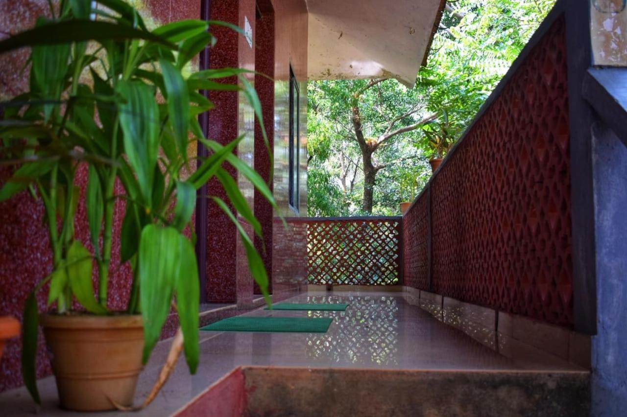 Standard Double Room - Photo 26