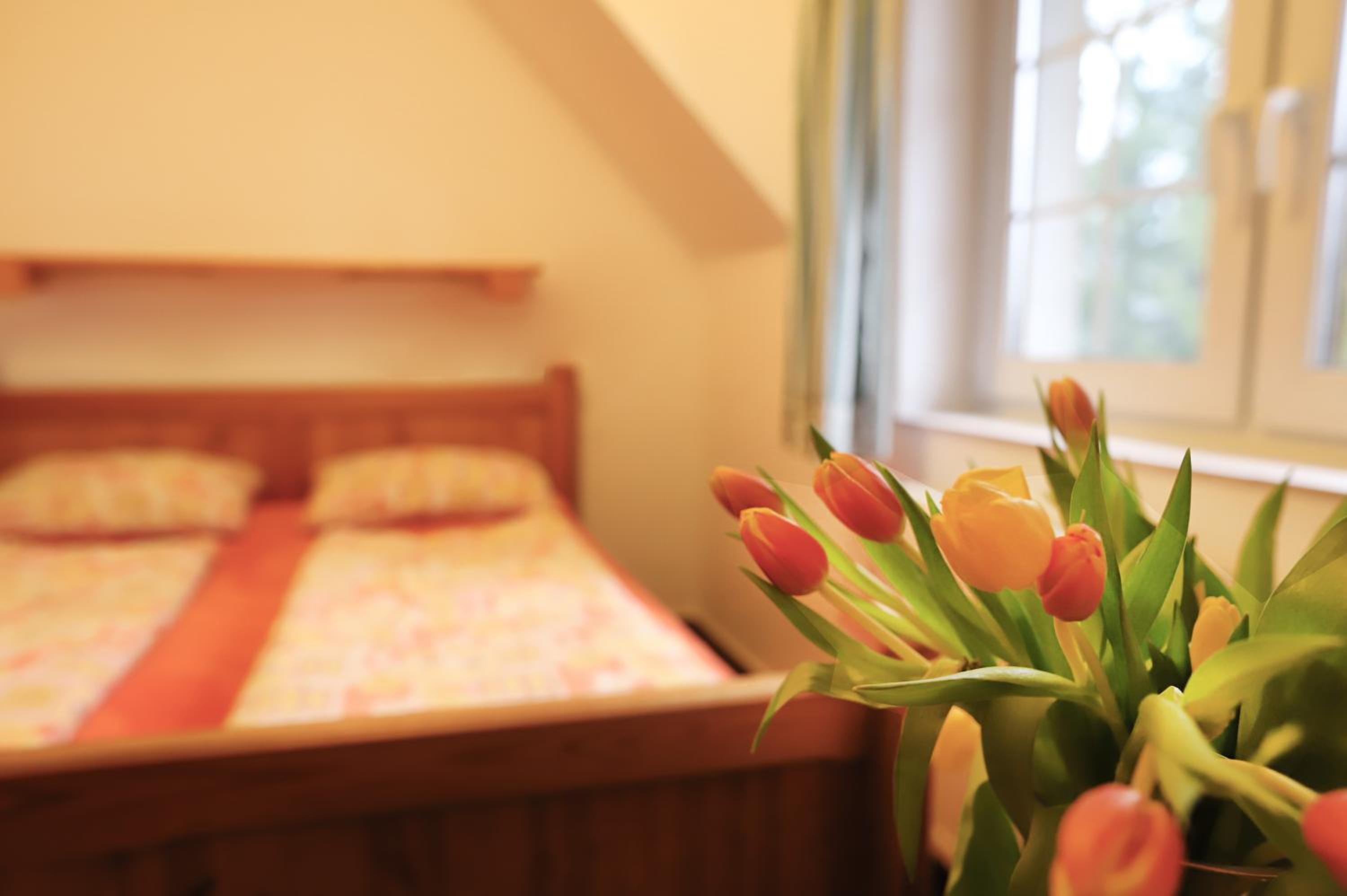 Double Room - Photo 2