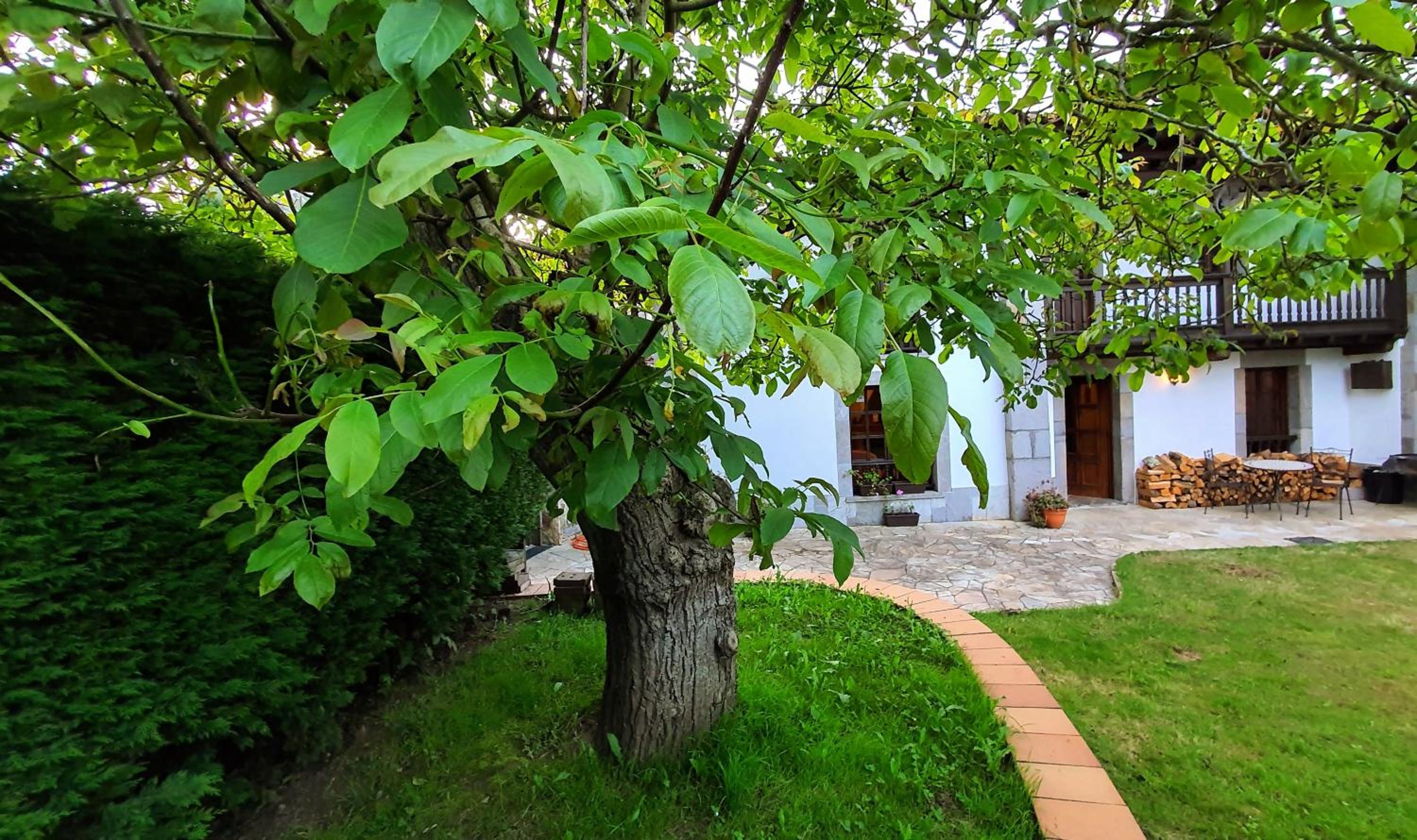 Vacation Home photo 2