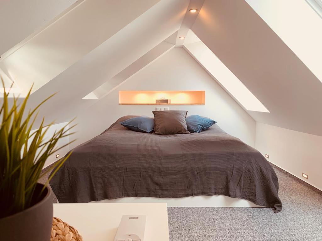 One-Bedroom Apartment photo 3