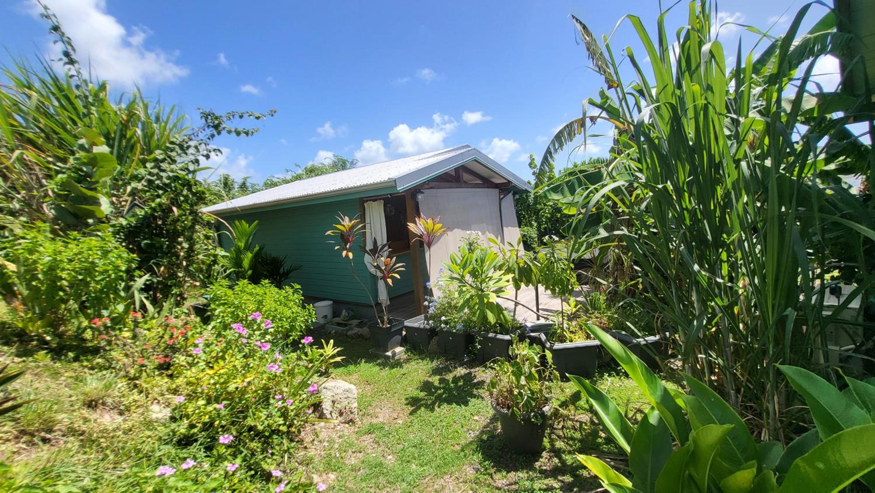 One-Bedroom House photo 3