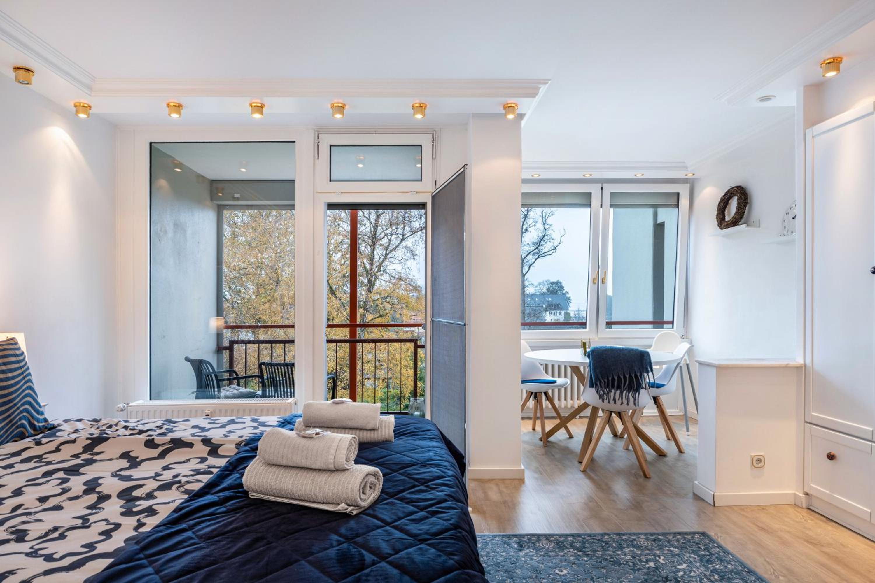 Superior One-Bedroom Apartment with Balcony photo 1