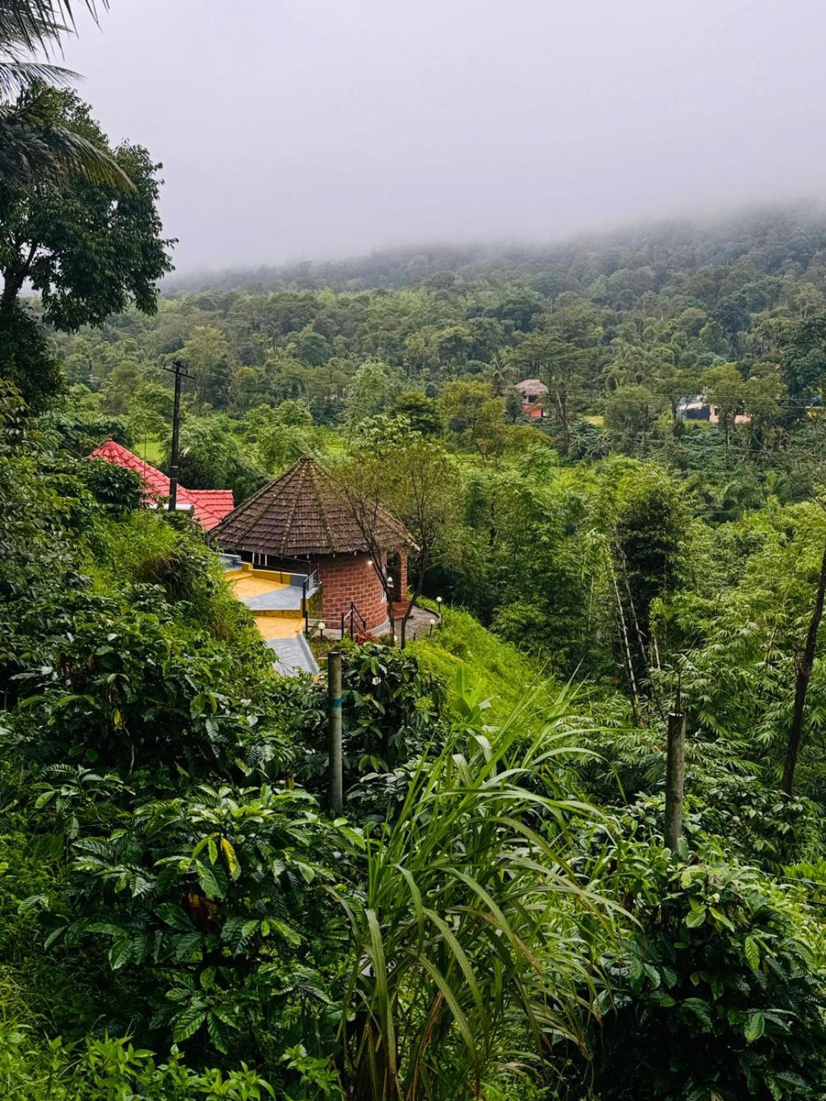 Double Room With Mountain View photo 3