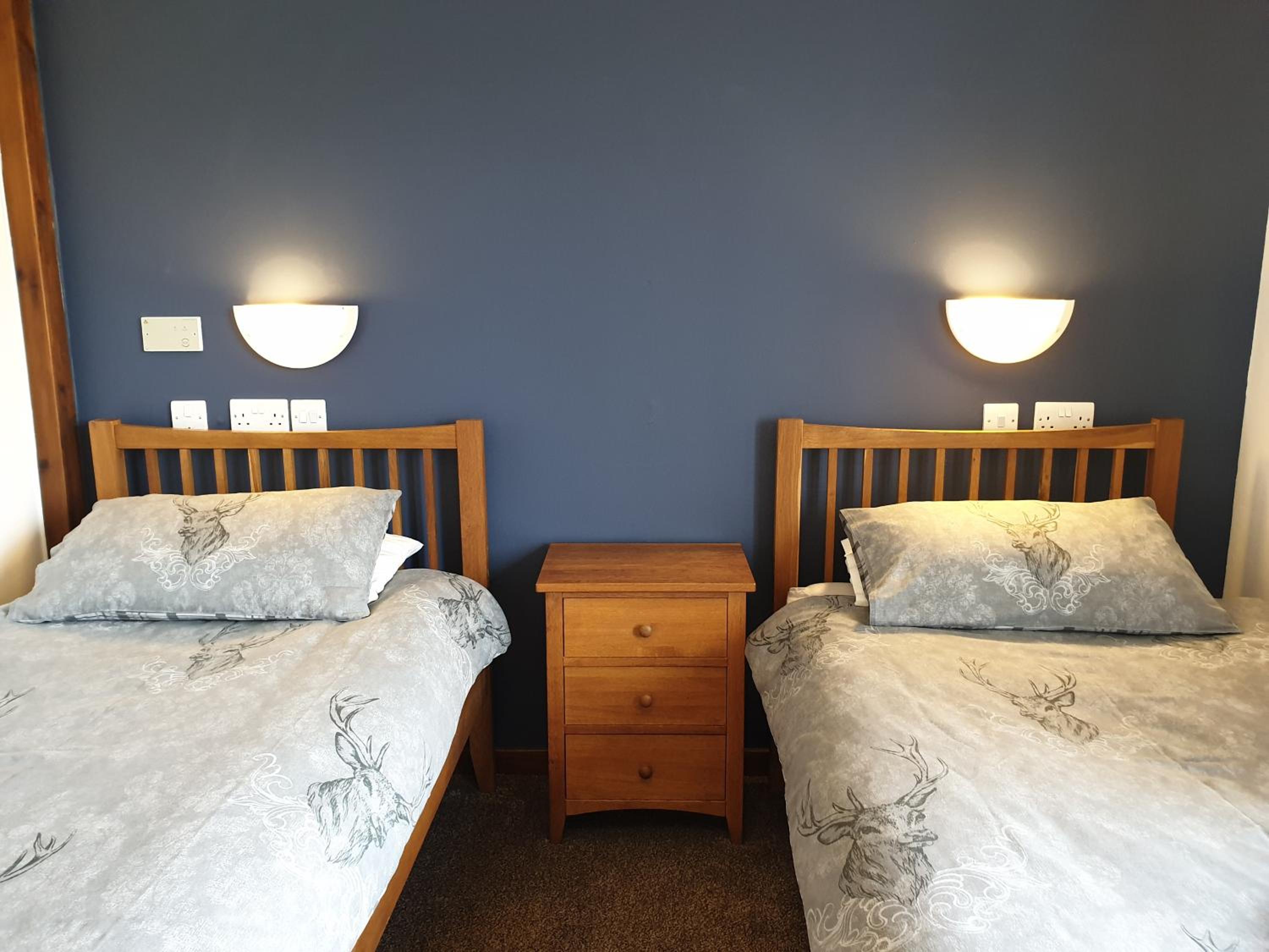 Twin Room with Lake View photo 2