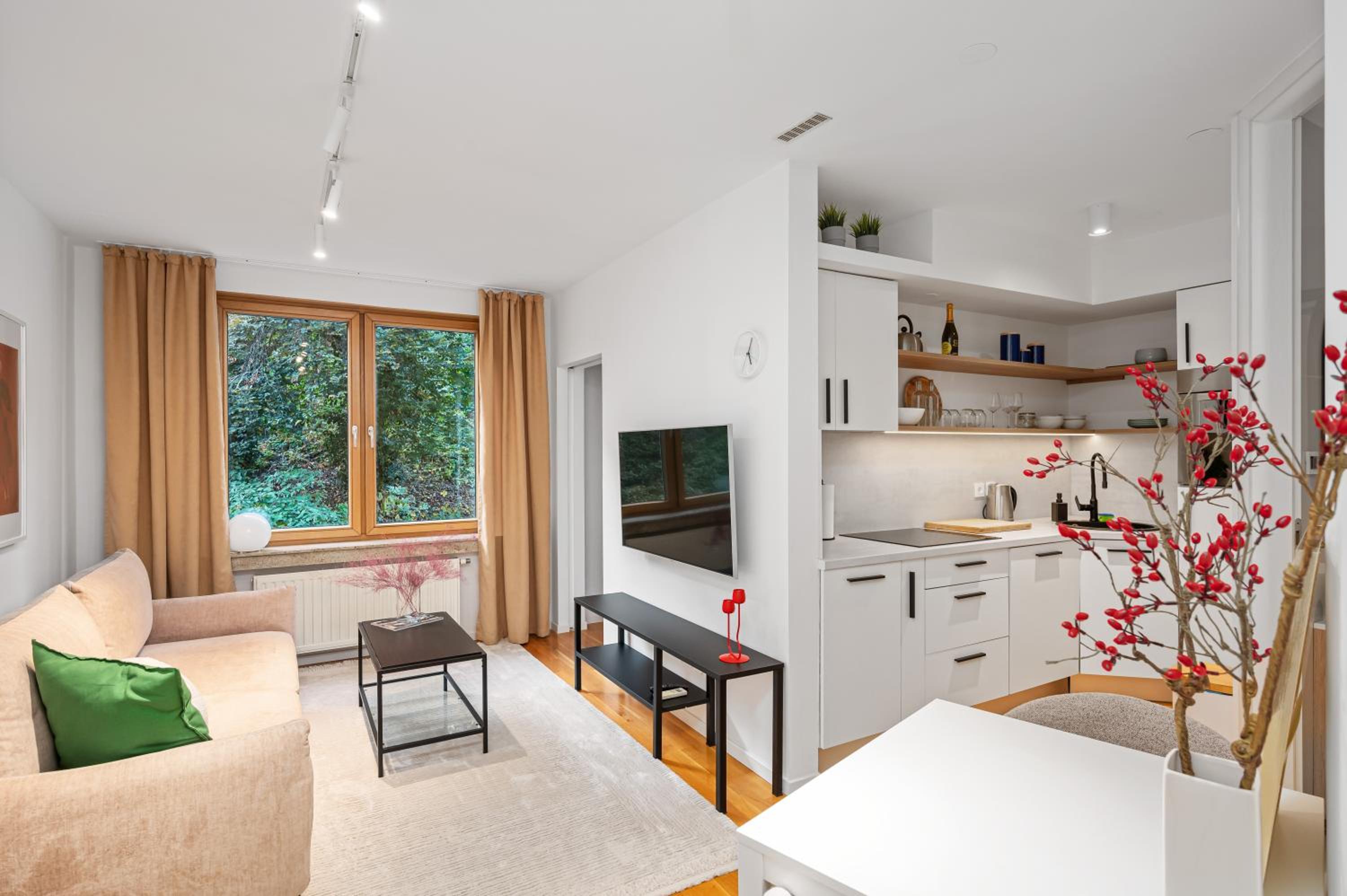 One-Bedroom Apartment