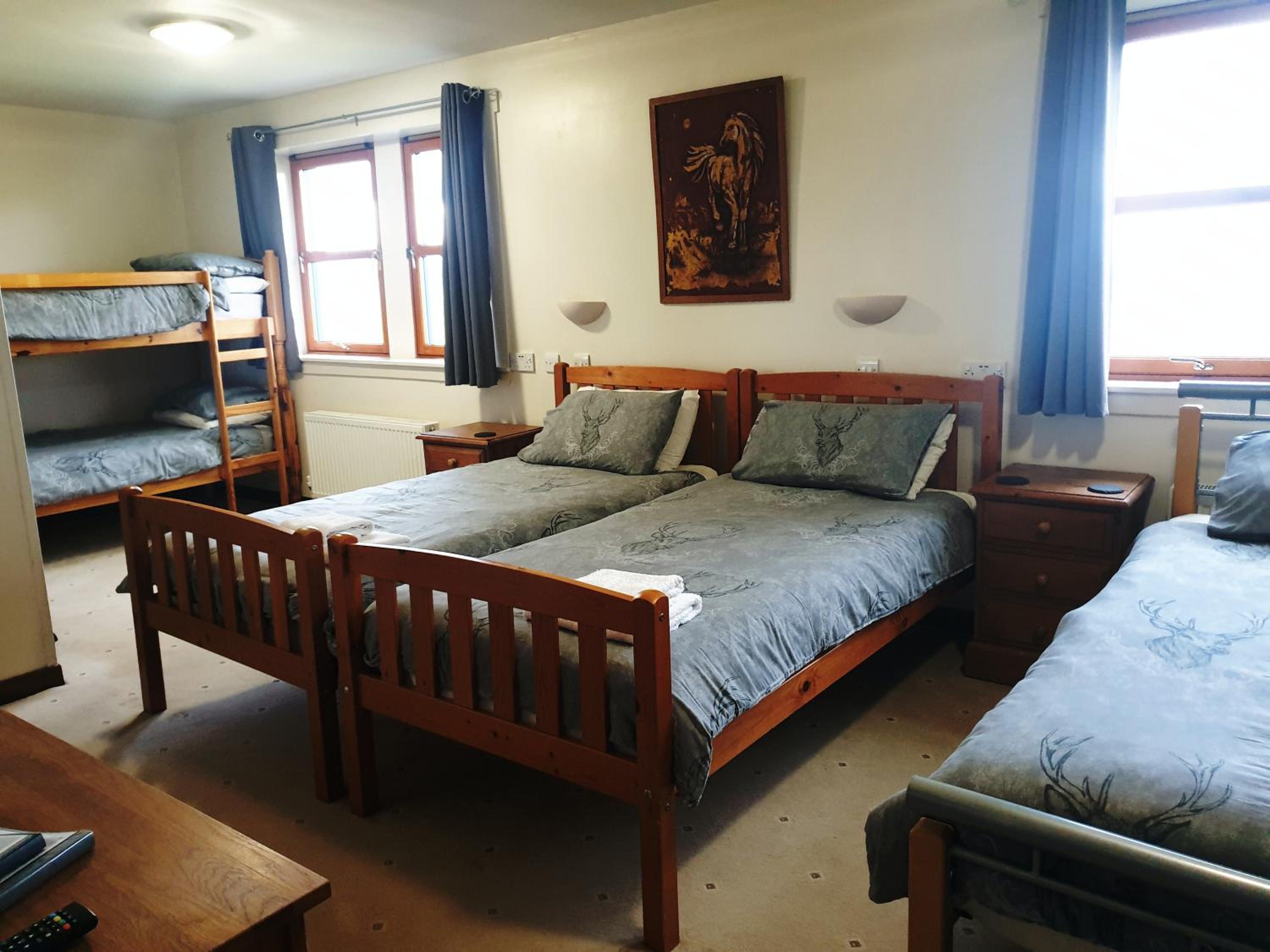 Deluxe Family Room photo 2