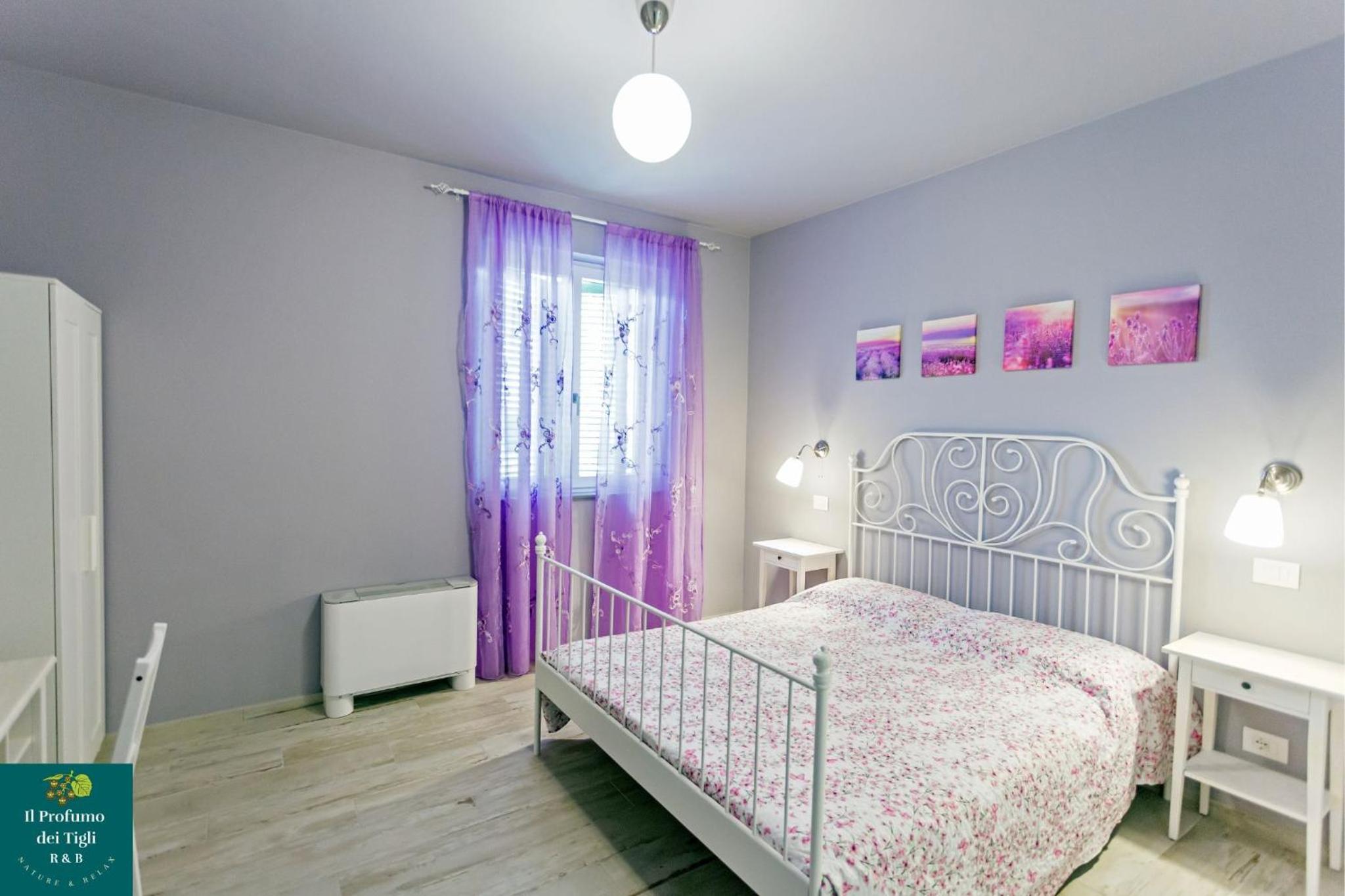 King Room with Garden View