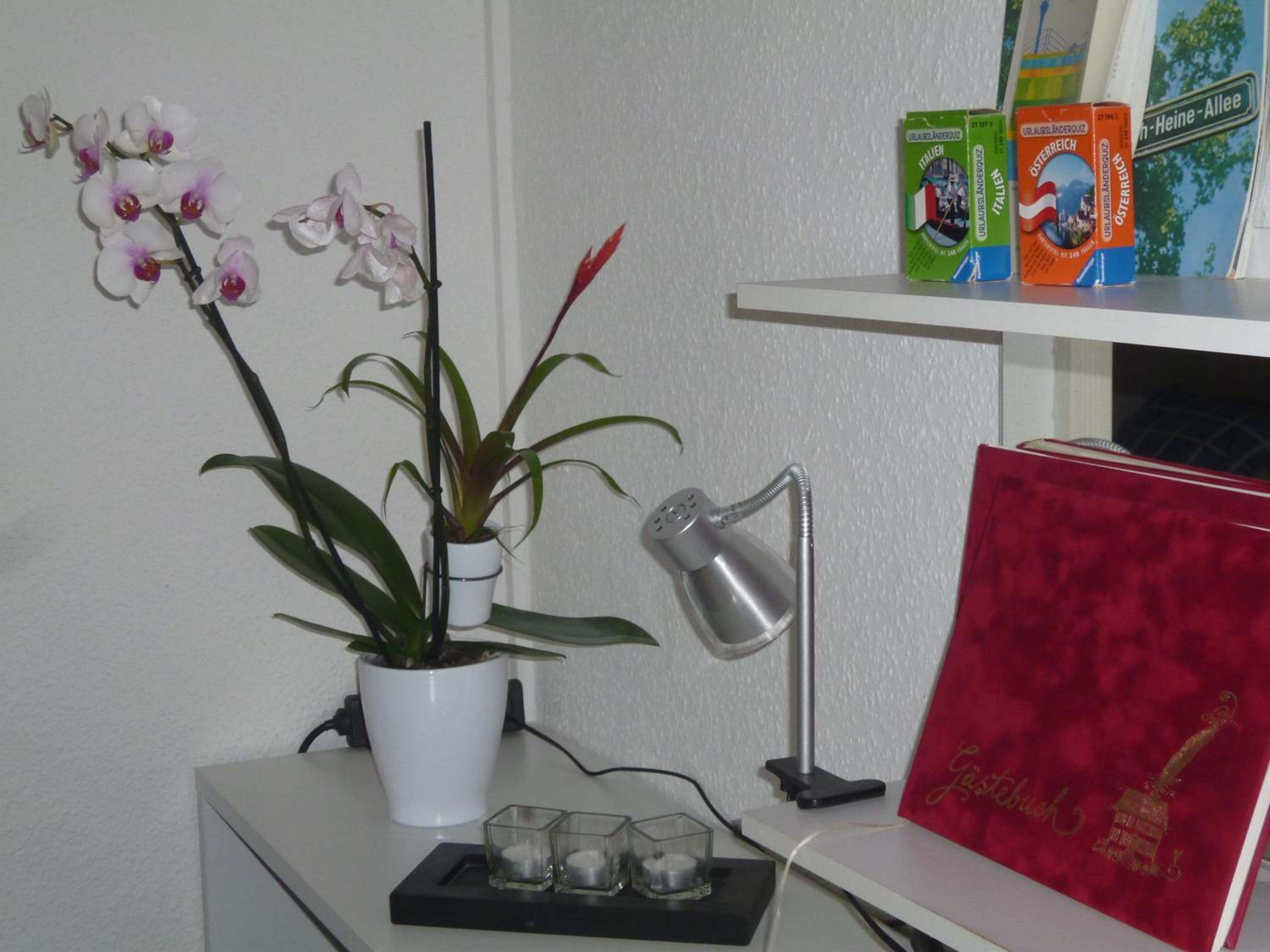 Two-Bedroom Apartment (4 Adults) - Photo 14