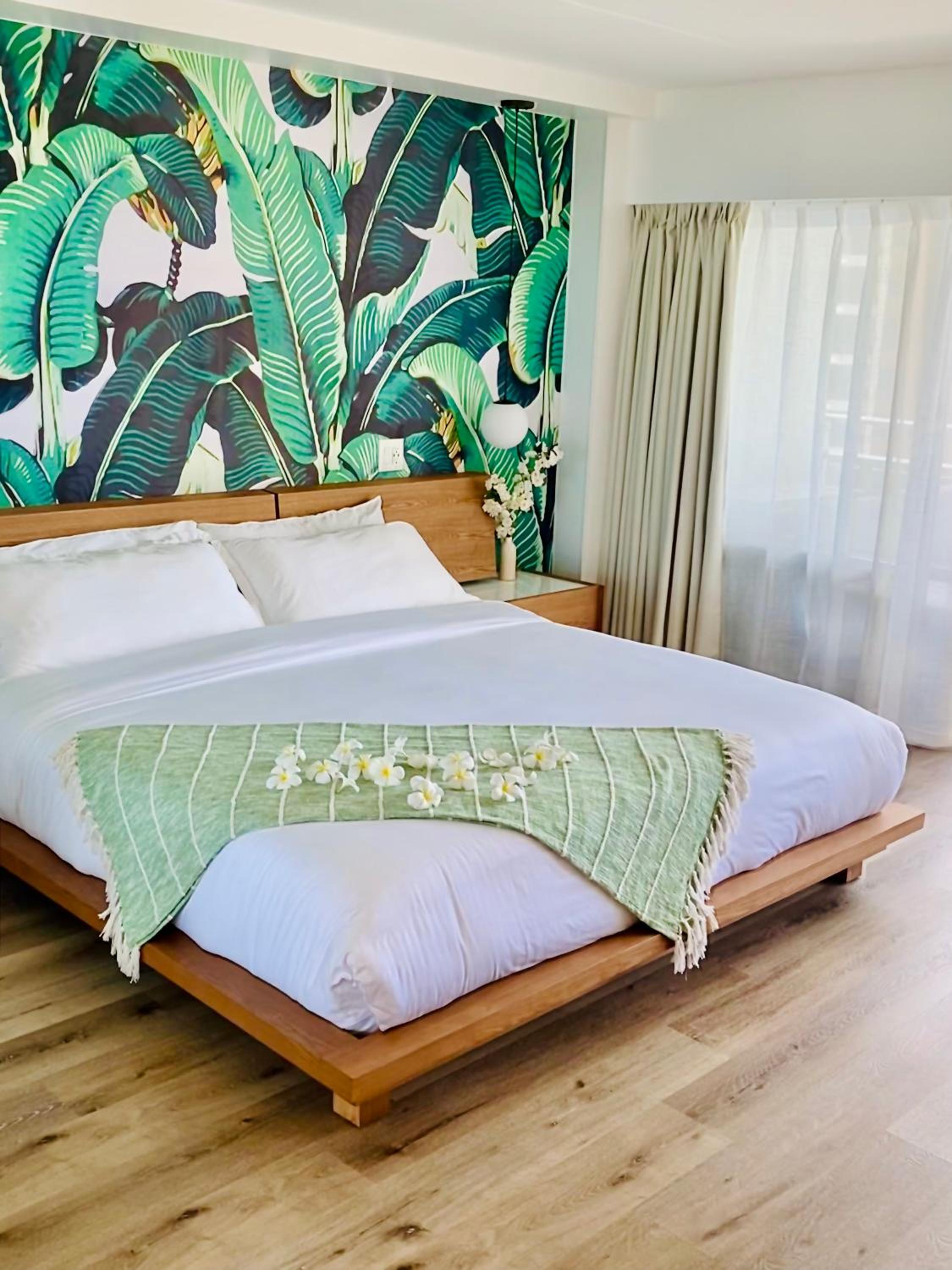Panoramic Oceanview Resort - Full Kitchen in Each Unit, 2 Swimming Pools, Onsite Restaurants, Fireworks Every Friday: One-Bedroom Apartment - Oceanfront photo